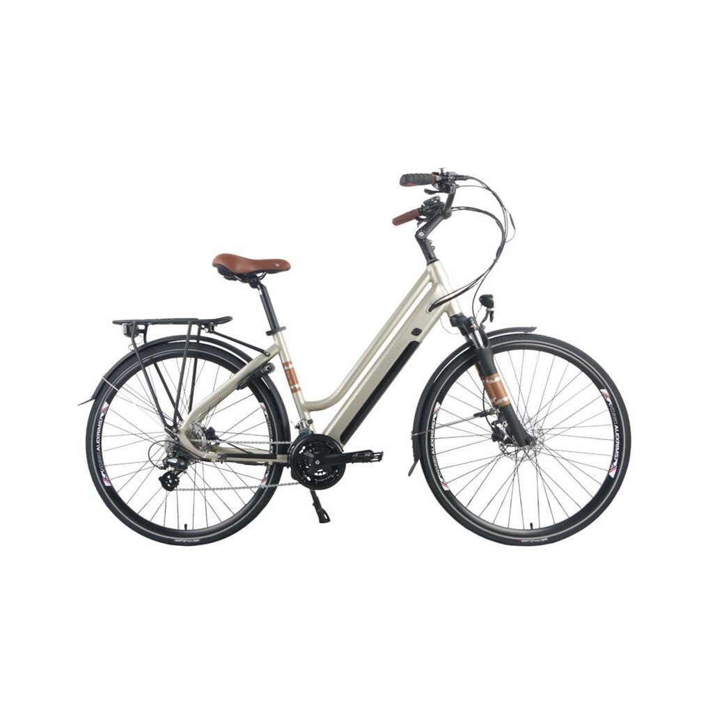 Zenith E-Bike »Classic Plus«, Heckmotor 250 W