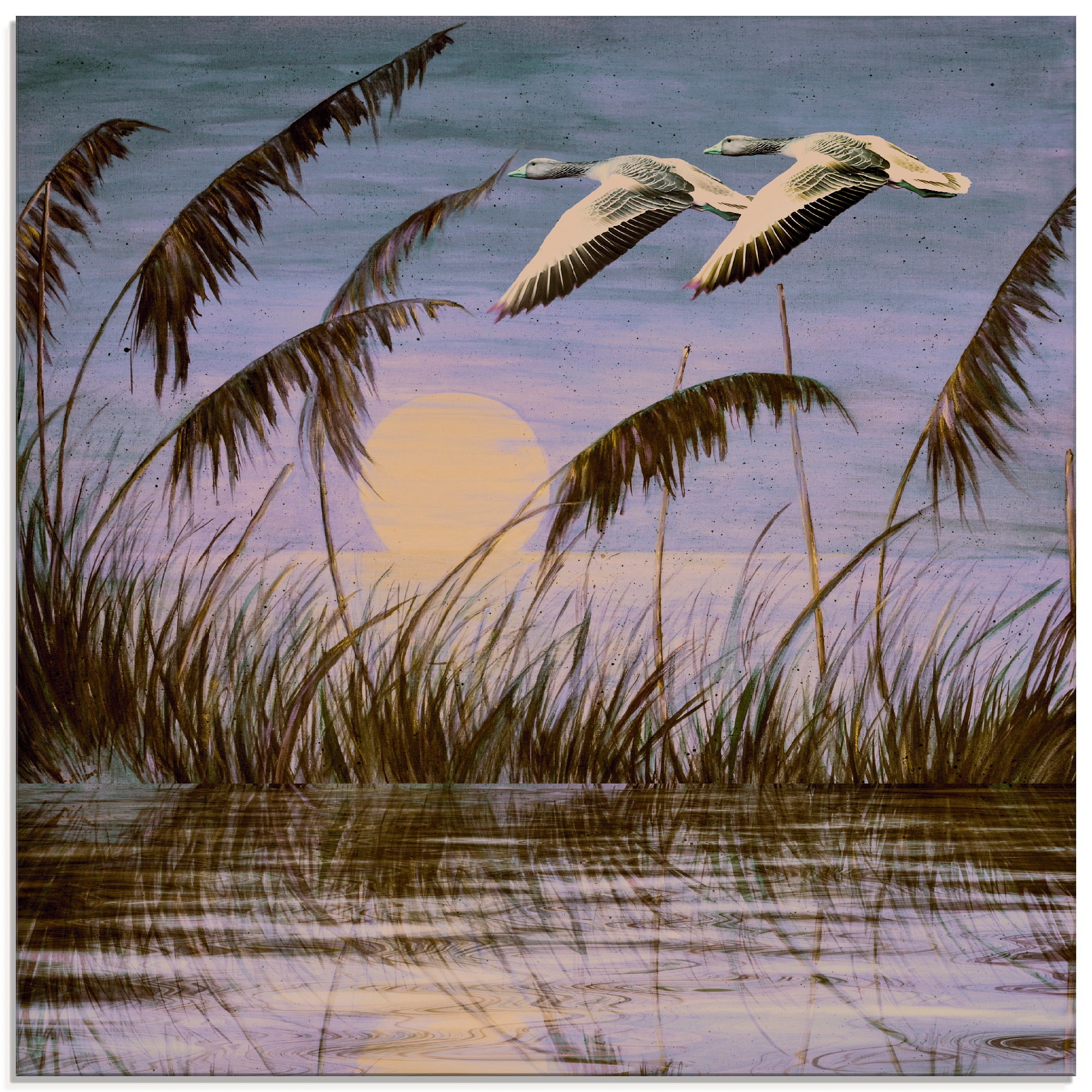 Image of Artland Glasbild »Wildgänse in der Abendsonne«, Vögel, (1 St.) bei Ackermann Versand Schweiz