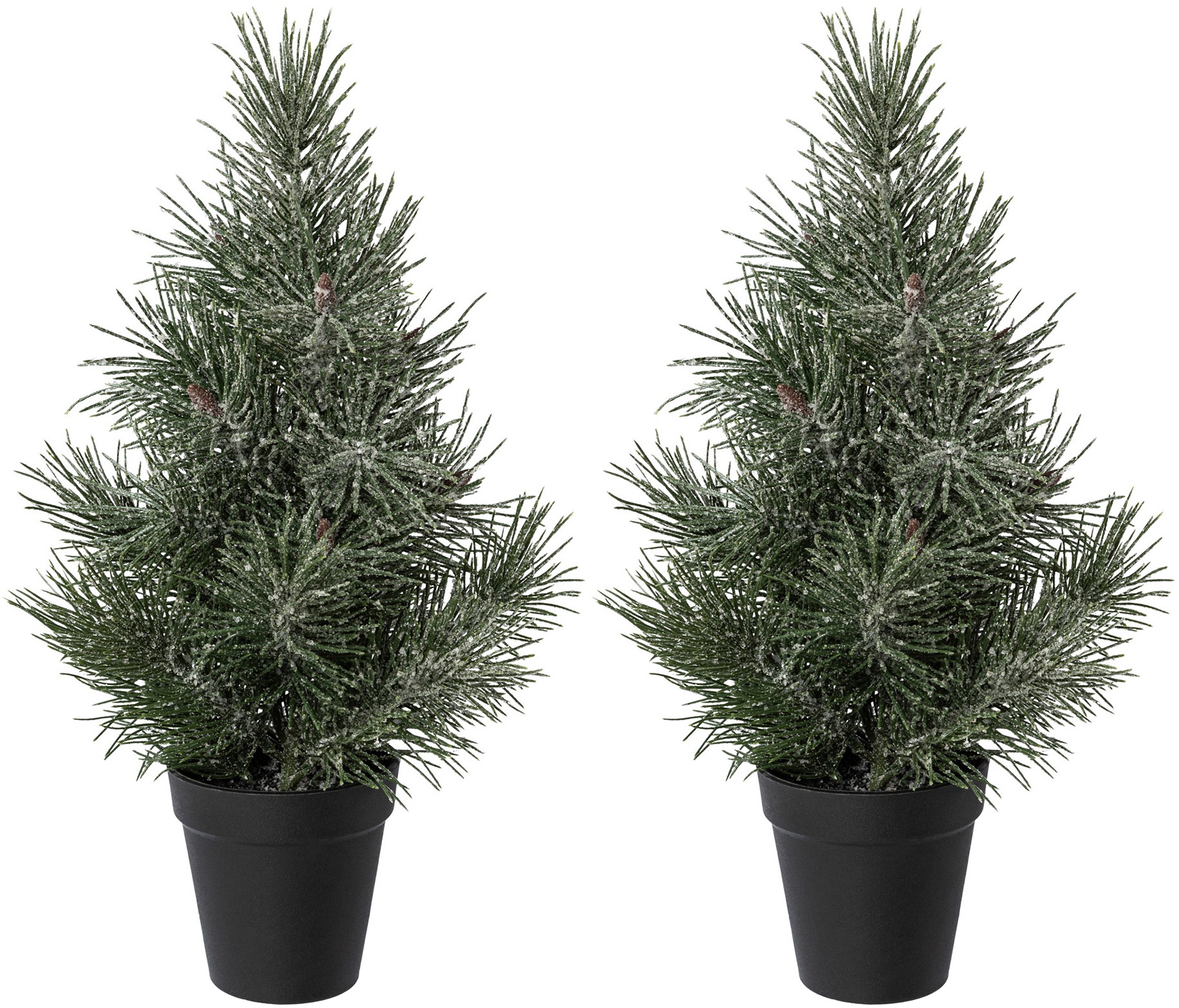 Image of Creativ deco Künstlicher Weihnachtsbaum, Kiefer, 2er Set, mit geeister Optik bei Ackermann Versand Schweiz