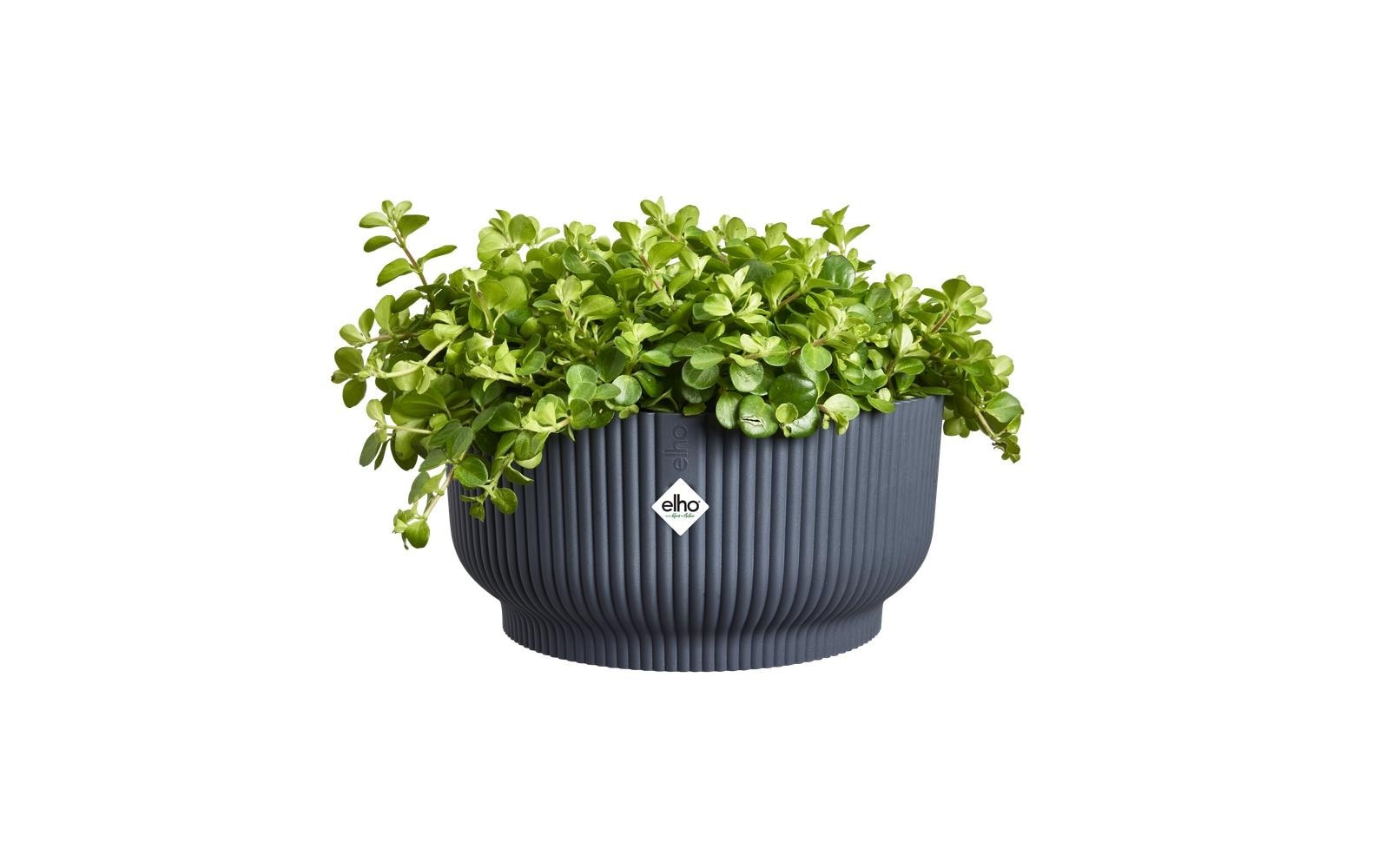 Elho Blumentopf "Vibes Fold Bowl 25 cm"