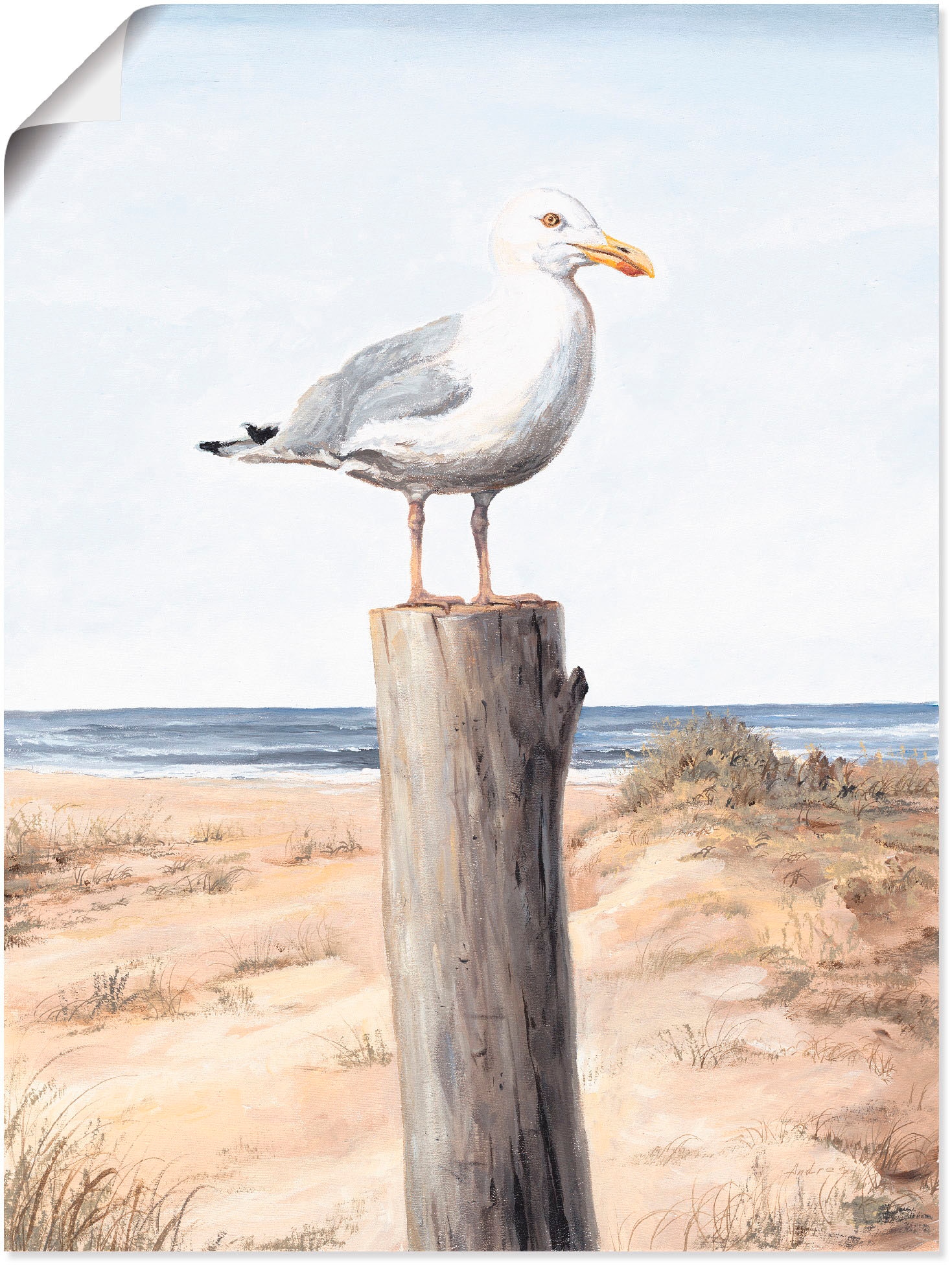 Artland Fresque murale »Möwe« 1 cuis tlg. als Alubild, Leinwandbild, Poster in verschied. Grössen