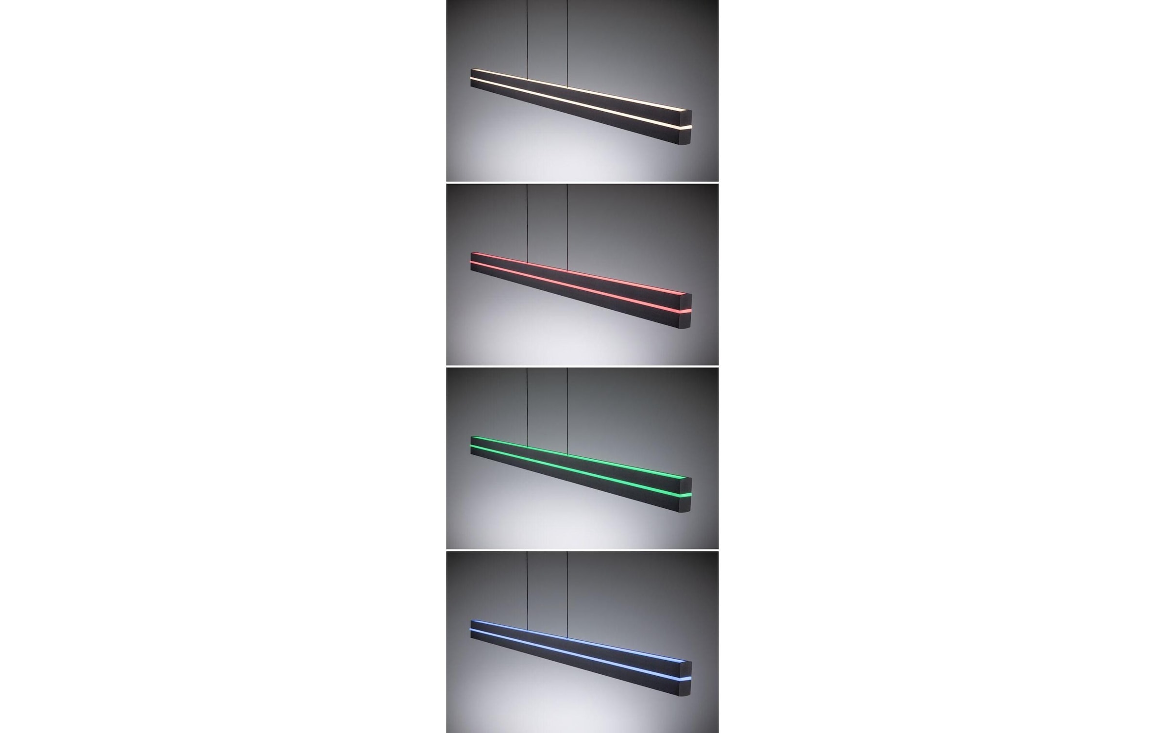 Paulmann Pendelleuchte »LED Pendelleuchte Raiko« LED-Modul RGB | warmweiss - kaltweiss