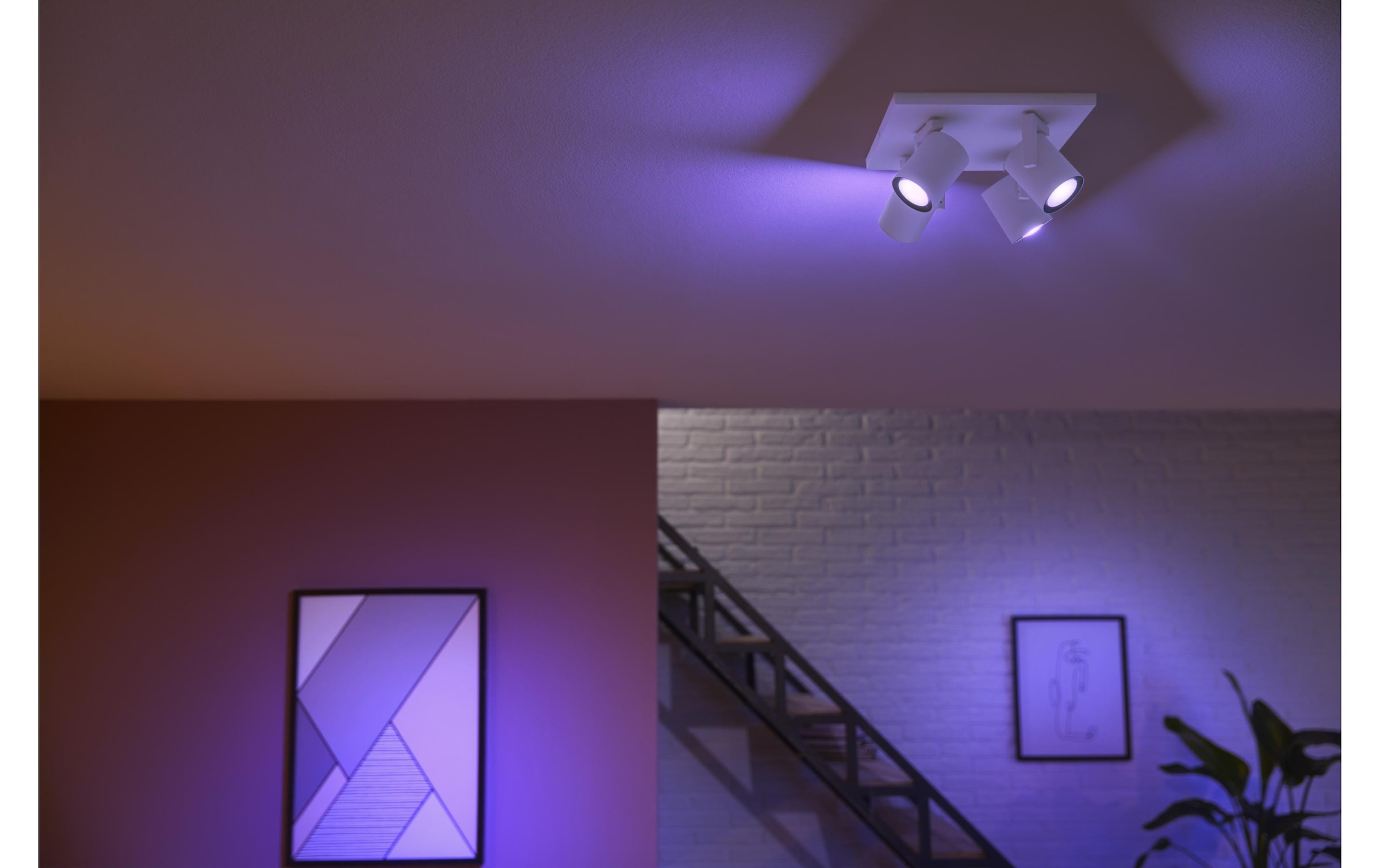 Philips Hue LED Deckenleuchte »Argenta 4er-Spot«, Leuchtmittel GU10 | LED wechselbar