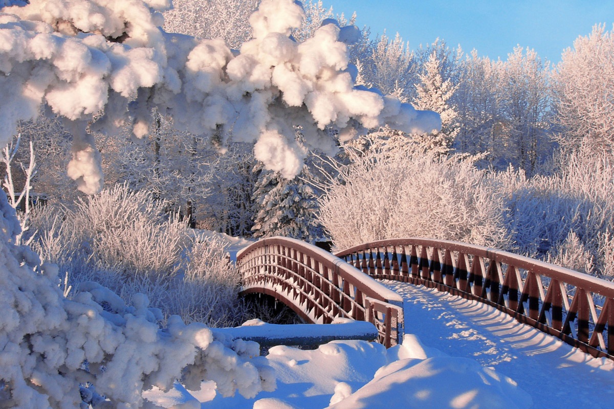 Image of Papermoon Fototapete "Winterbrücke"