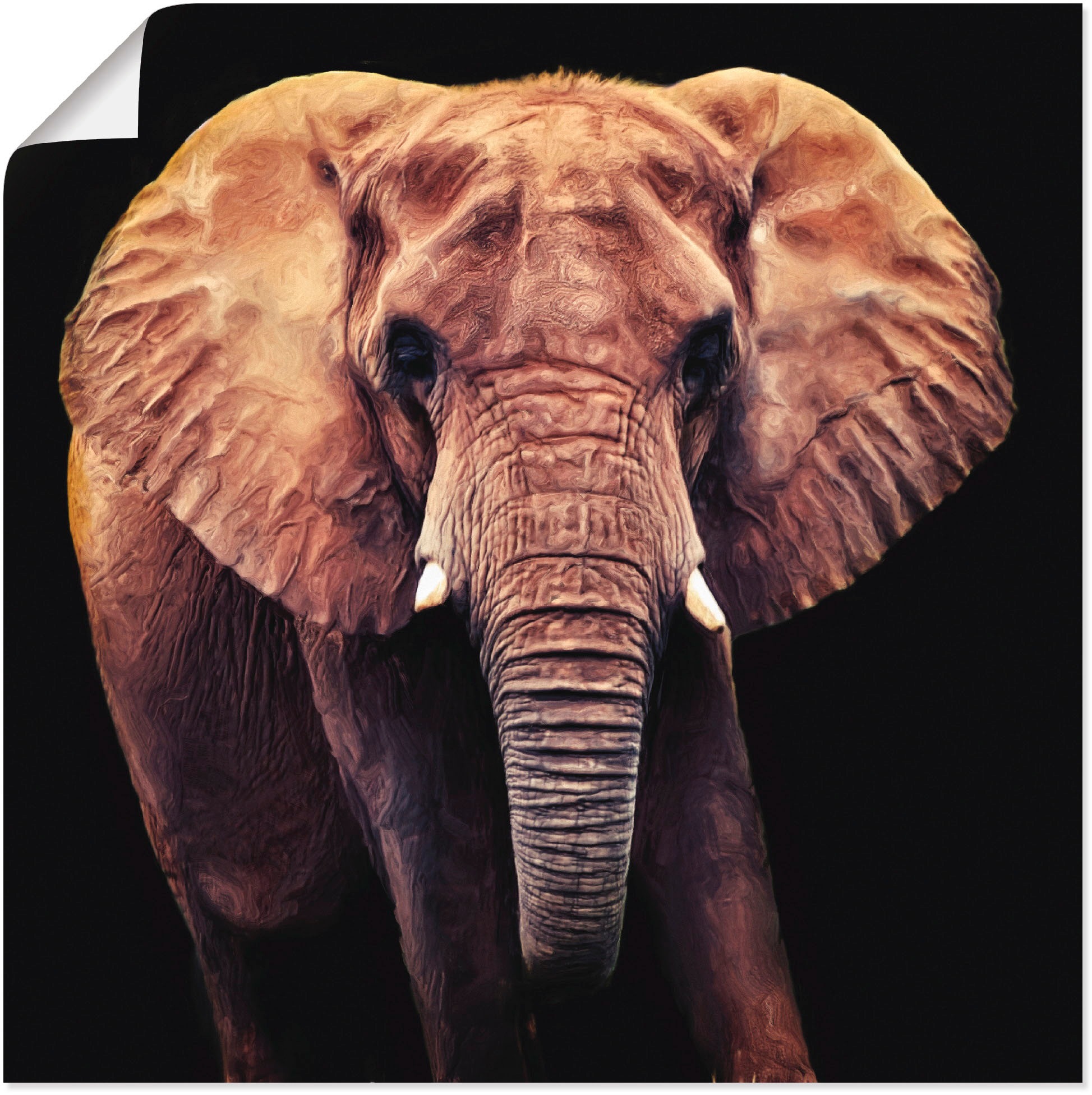 Image of Artland Wandbild »Elefant«, Wildtiere, (1 St.), in vielen Grössen & Produktarten -Leinwandbild, Poster, Wandaufkleber / Wandtattoo auch für Badezimmer geeignet bei Ackermann Versand Schweiz