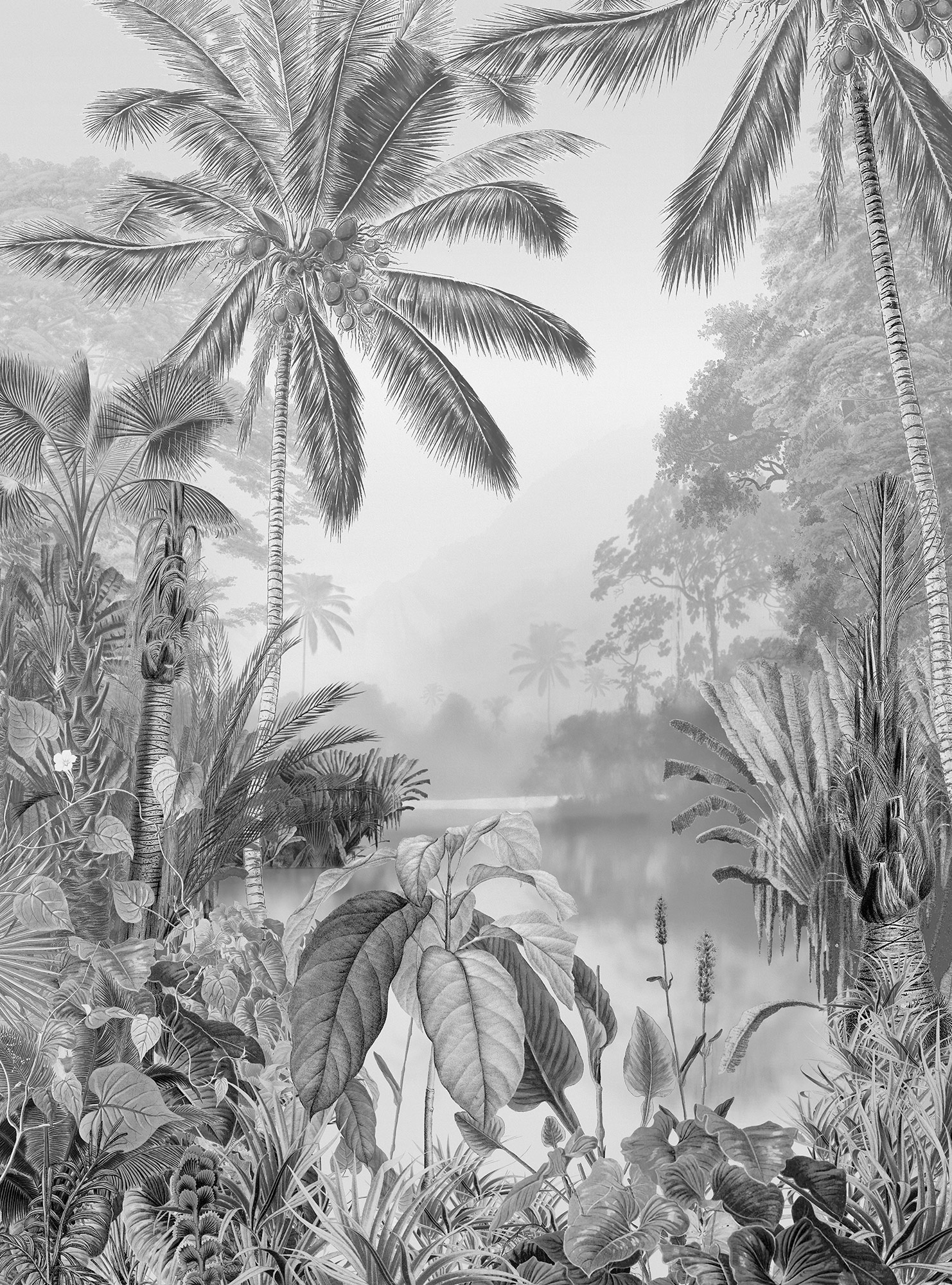Image of Komar Vliestapete "Digitaldruck Vlies - Lac Tropical Black & White - Grösse 200 x 270 cm" bedruckt glatt Wohnzimmer, Schlafzimmer
