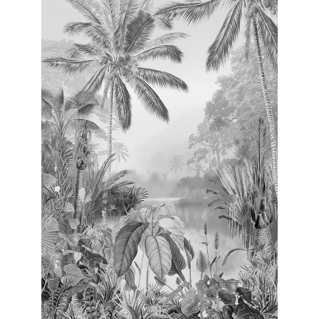 Komar Vliestapete »Lac Tropical Black & White«