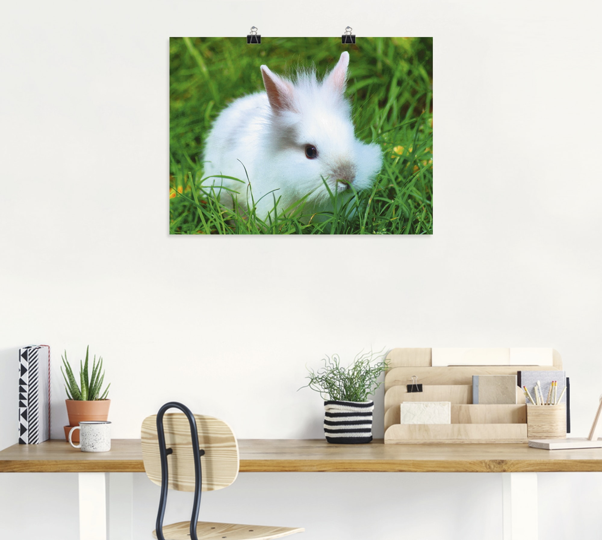 Artland Wandbild »Weisses Zwergkaninchen Baby«, Wildtiere, (1 St.), als Poster, Wandaufkleber in verschied. Grössen