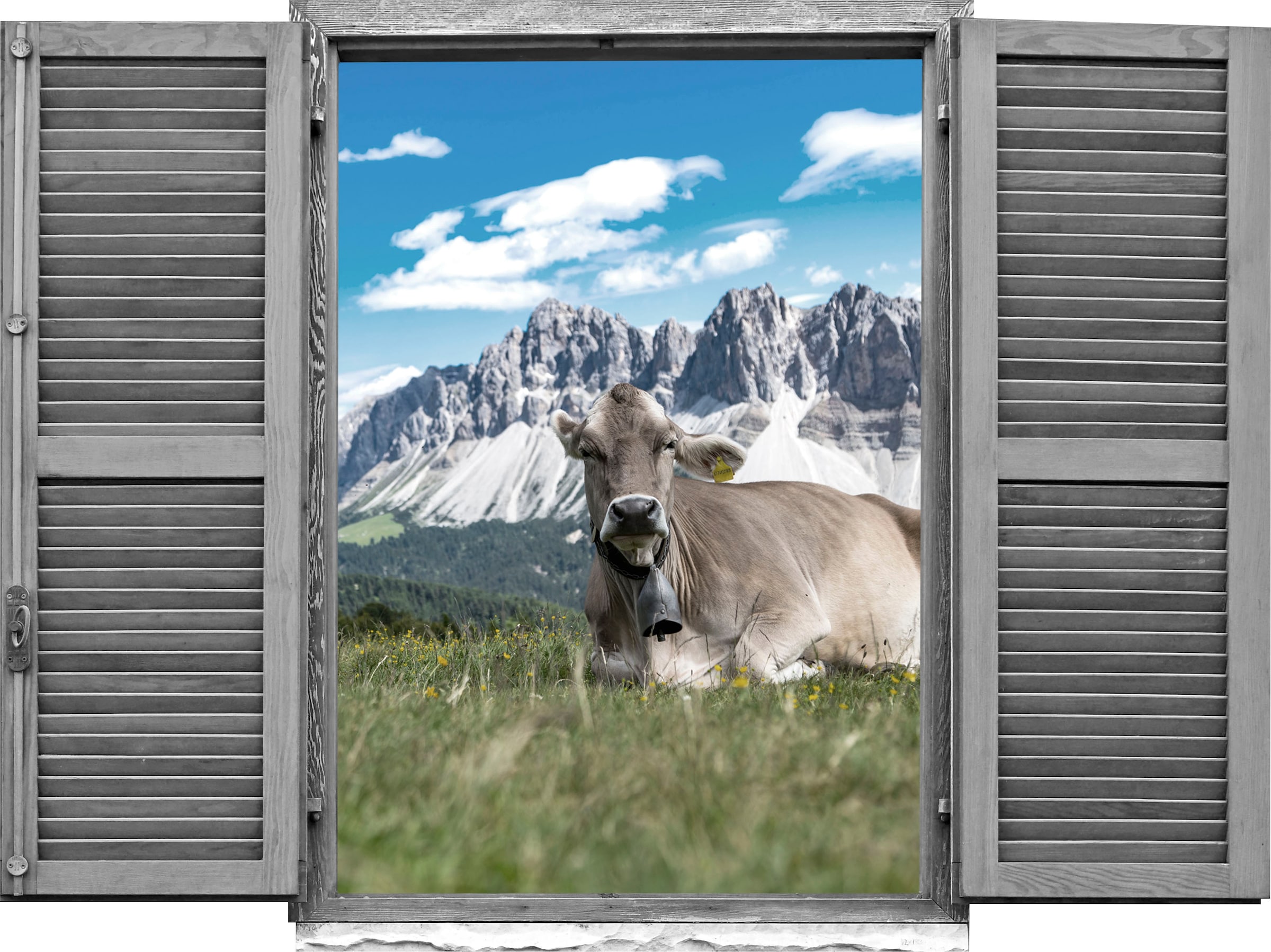 Image of queence Wandtattoo "Kühe" Wandsticker, Wandbild, selbstklebend, 3D, Fenster