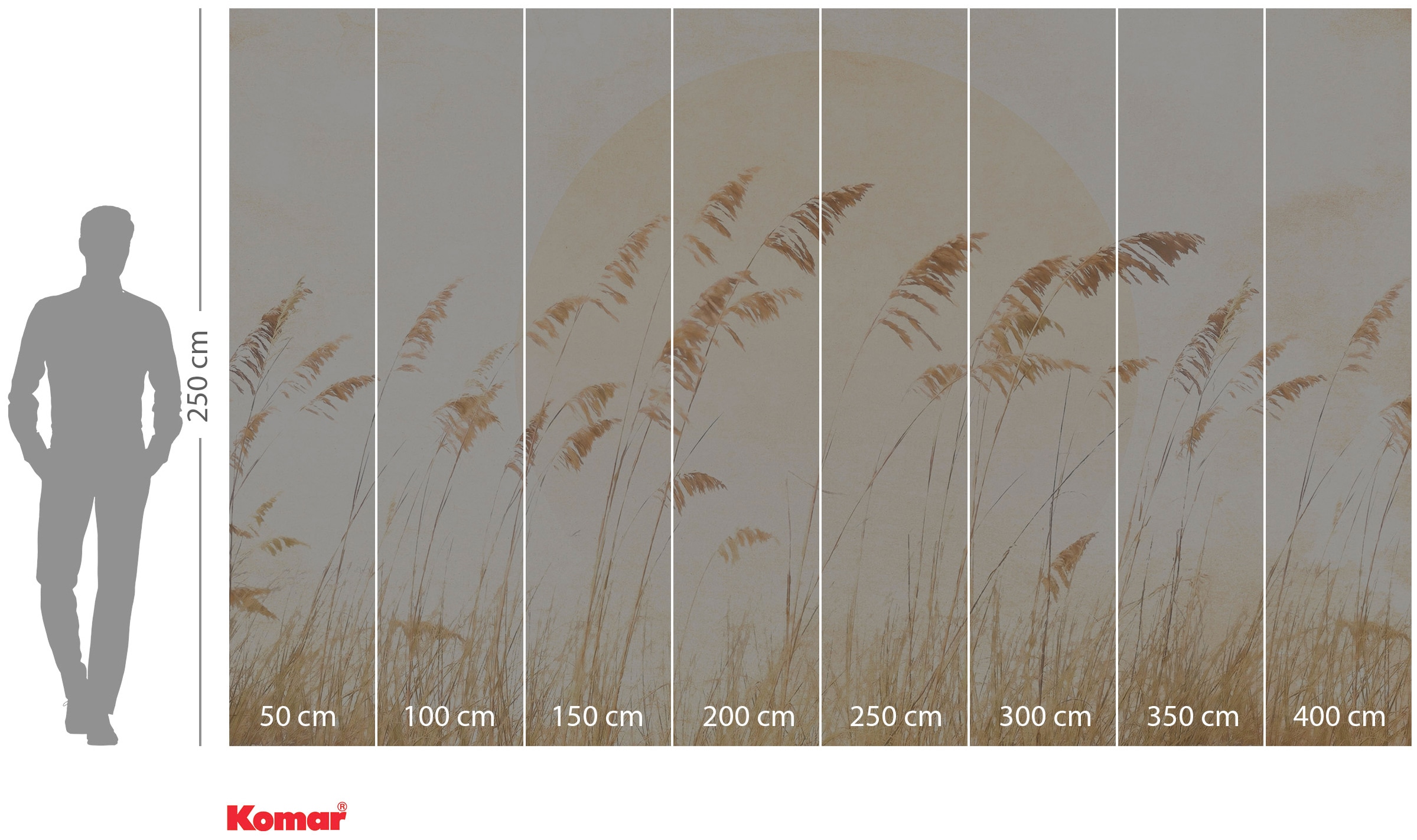 Komar Papier peint intissé »Digitaldruck Vlies -  Dune Grass - Grösse 400 x 250 cm« imprimé Wohnzimmer, Schlafzimmer
