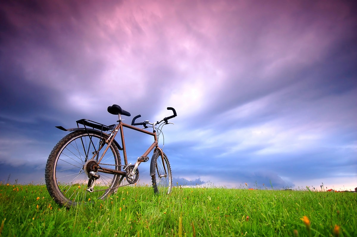 Image of Papermoon Fototapete "Fahrrad in Grünland"
