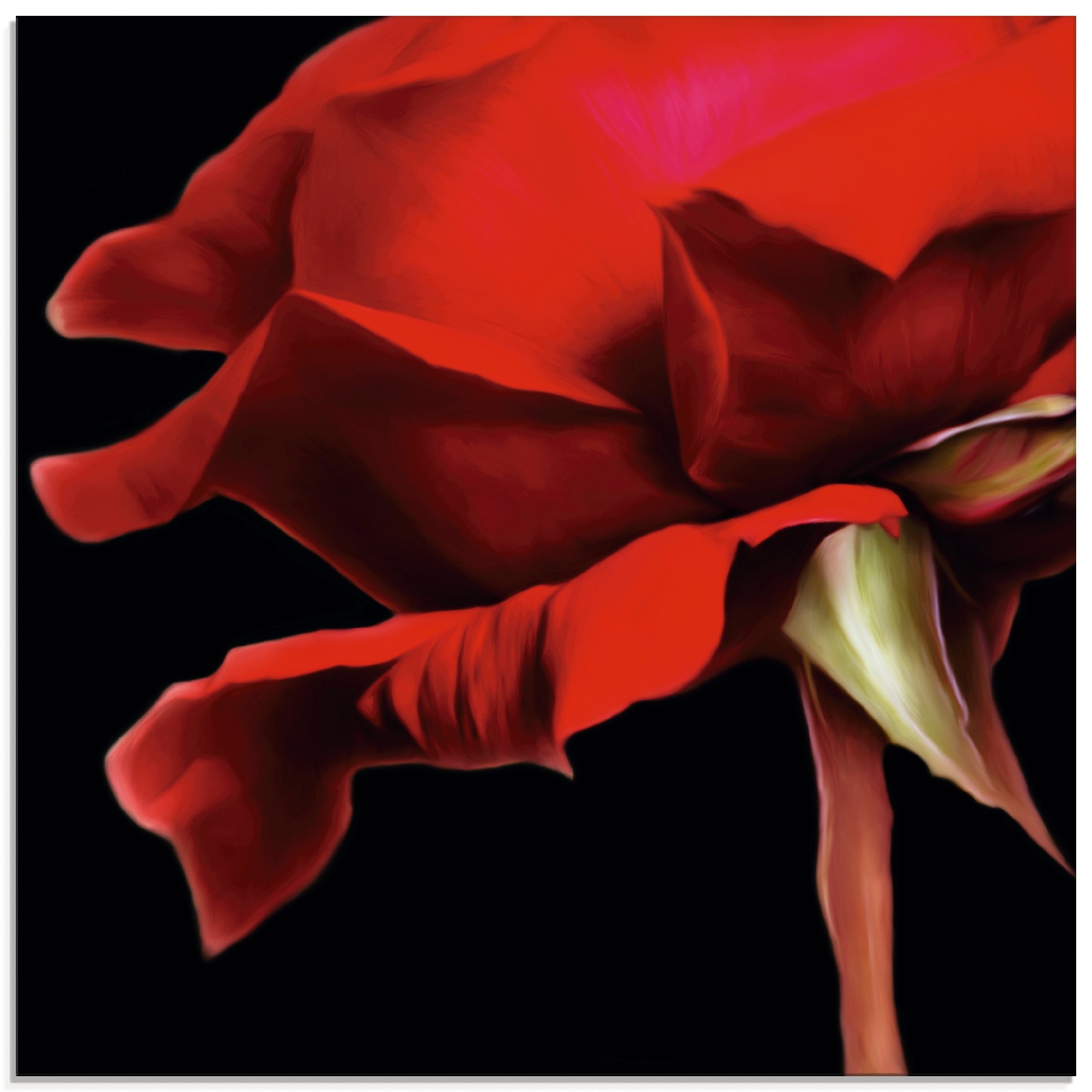 Image of Artland Glasbild »Rote Rose«, Blumen, (1 St.) bei Ackermann Versand Schweiz
