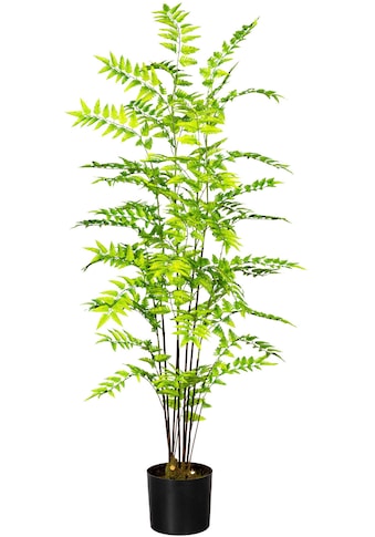 Creativ green Künstliche Zimmerpflanze »Goldfarbenschuppenfarn«, (1 St.) kaufen