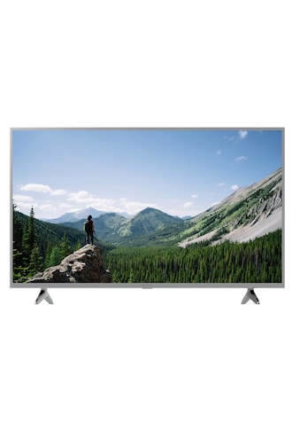 LCD-LED Fernseher »TX-32MSW504S 32 1366 x 768 (WXGA), LED-LCD«, 80 cm/32 Zoll, WXGA,...