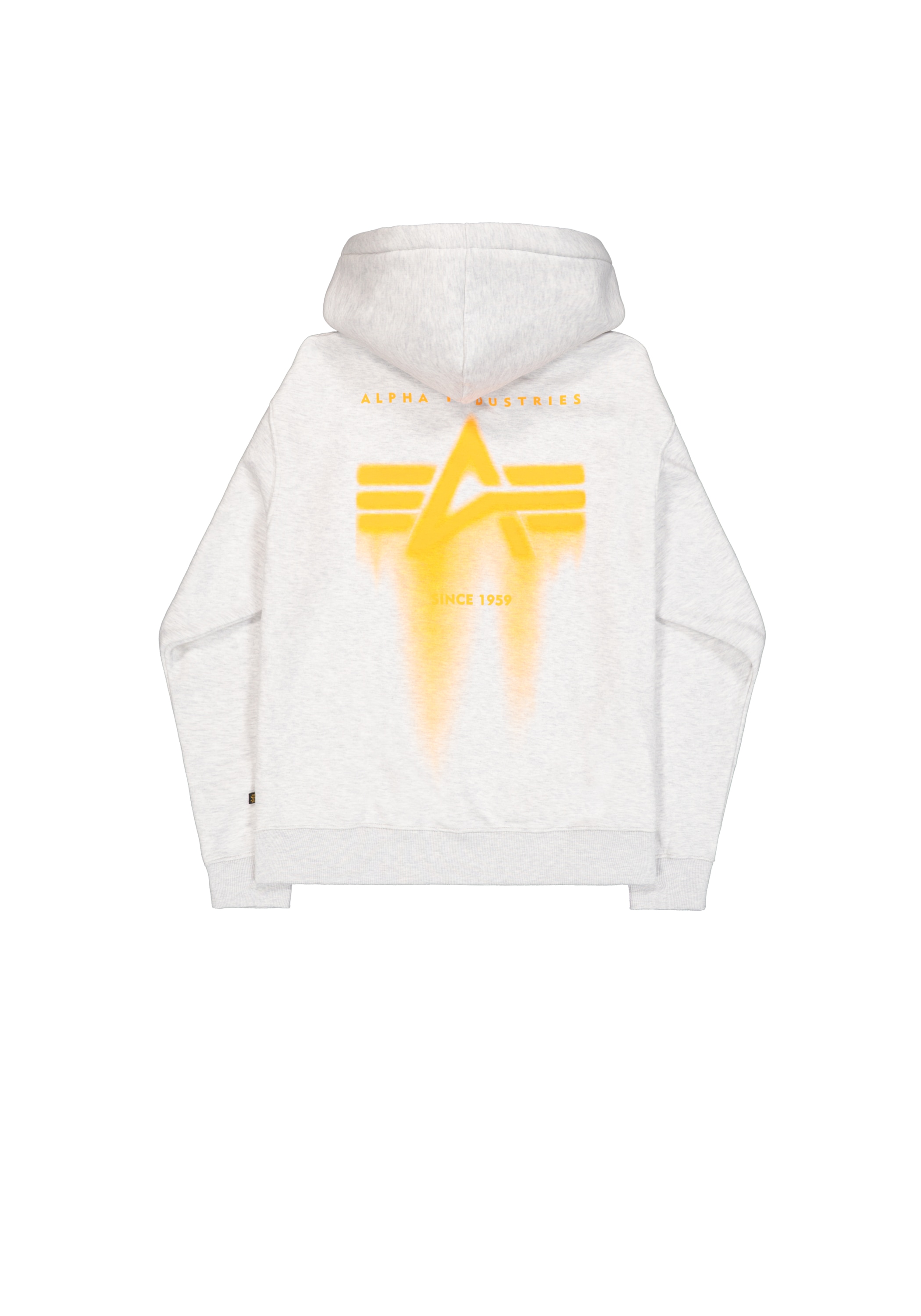 Alpha Industries Hoodie »Spray Print Hoodie«
