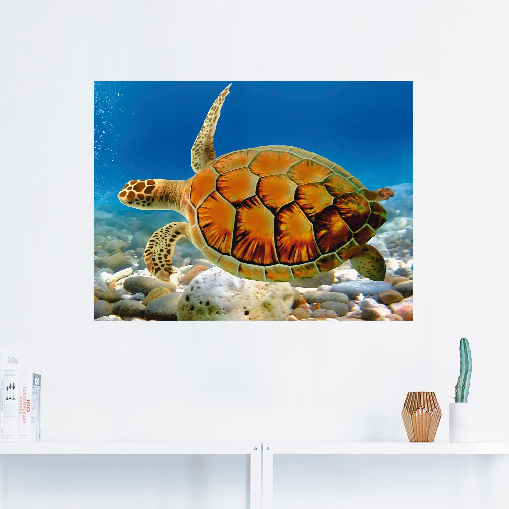 Artland Wandbild Leinwandbild, »Schildkröte«, (1 versch. in Grössen Alubild, Wandaufkleber oder Poster als St.), Wassertiere