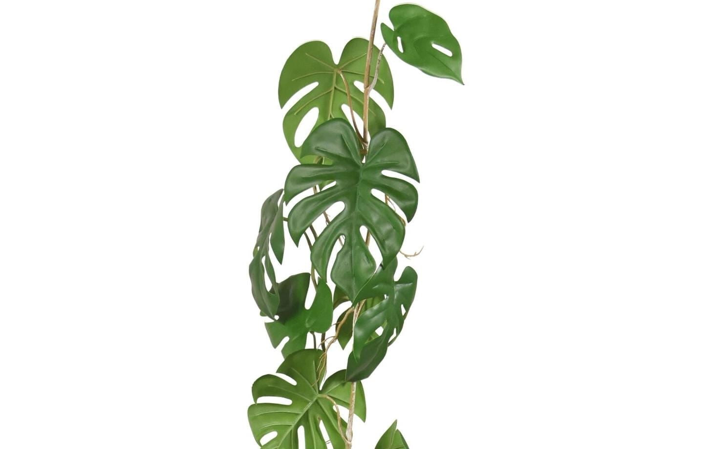 Botanic-Haus Kunstblume »Monstera 110 cm«