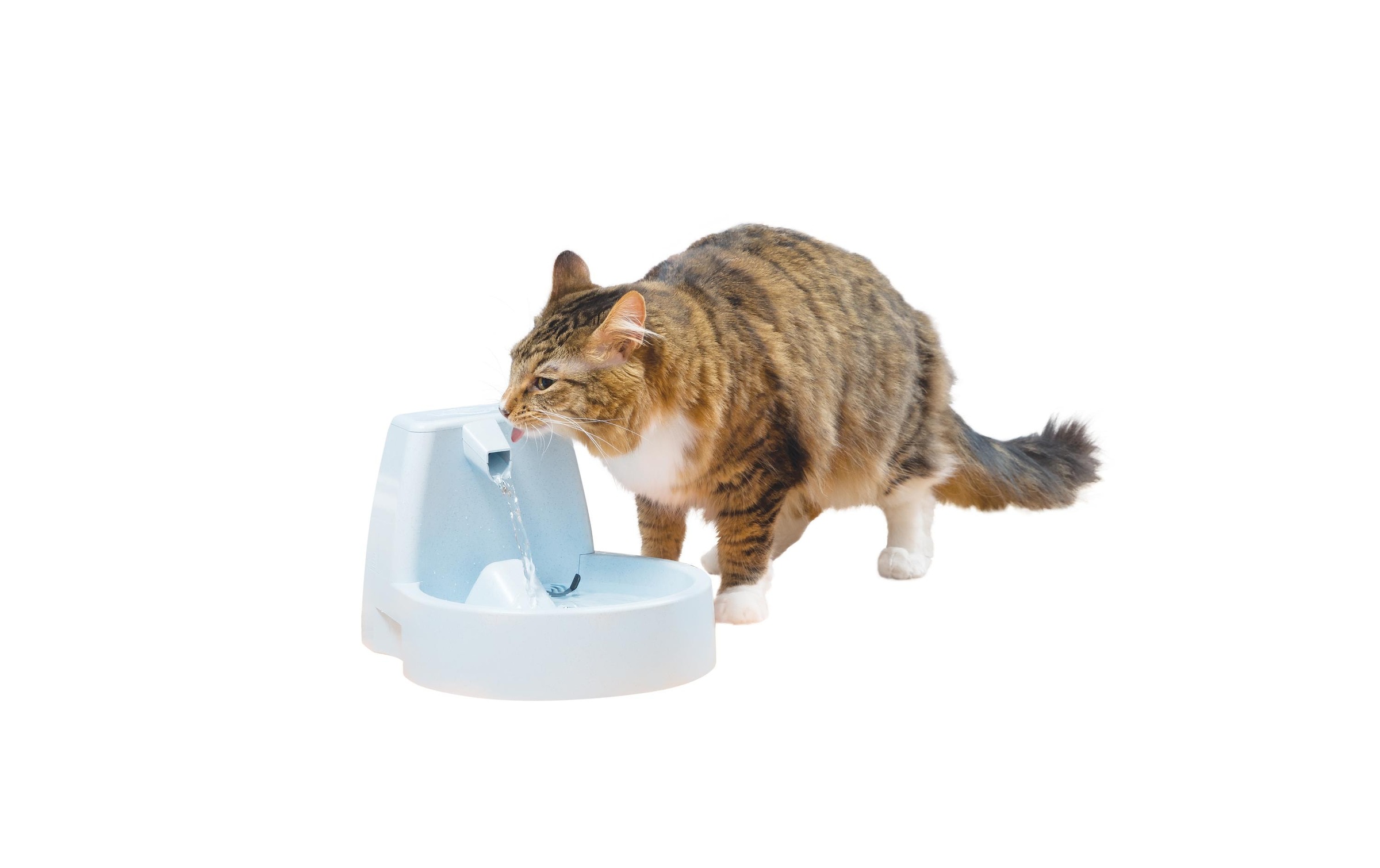 PetSafe Wasserspender »Drinkwell Original«