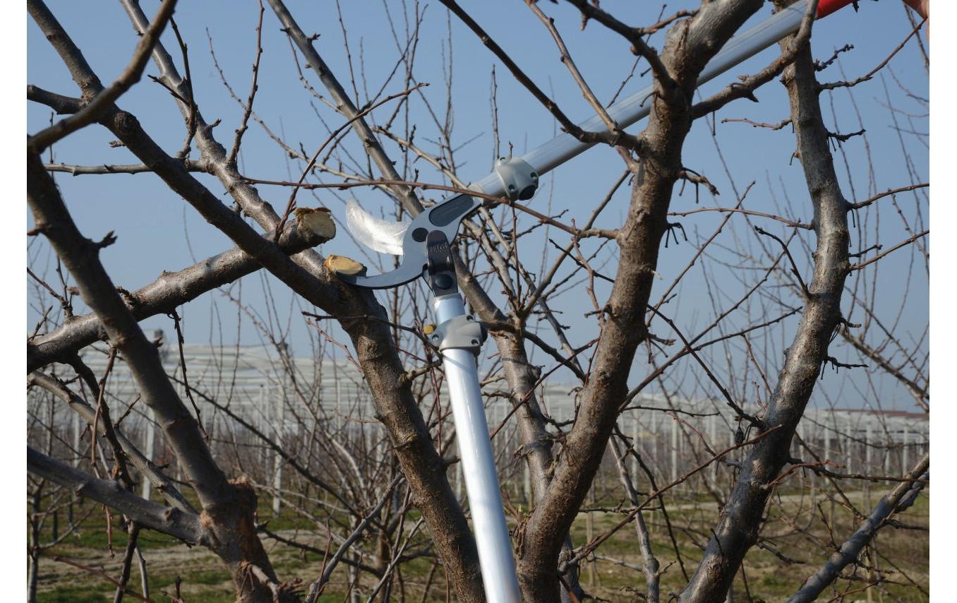 FELCO Astschere »219«