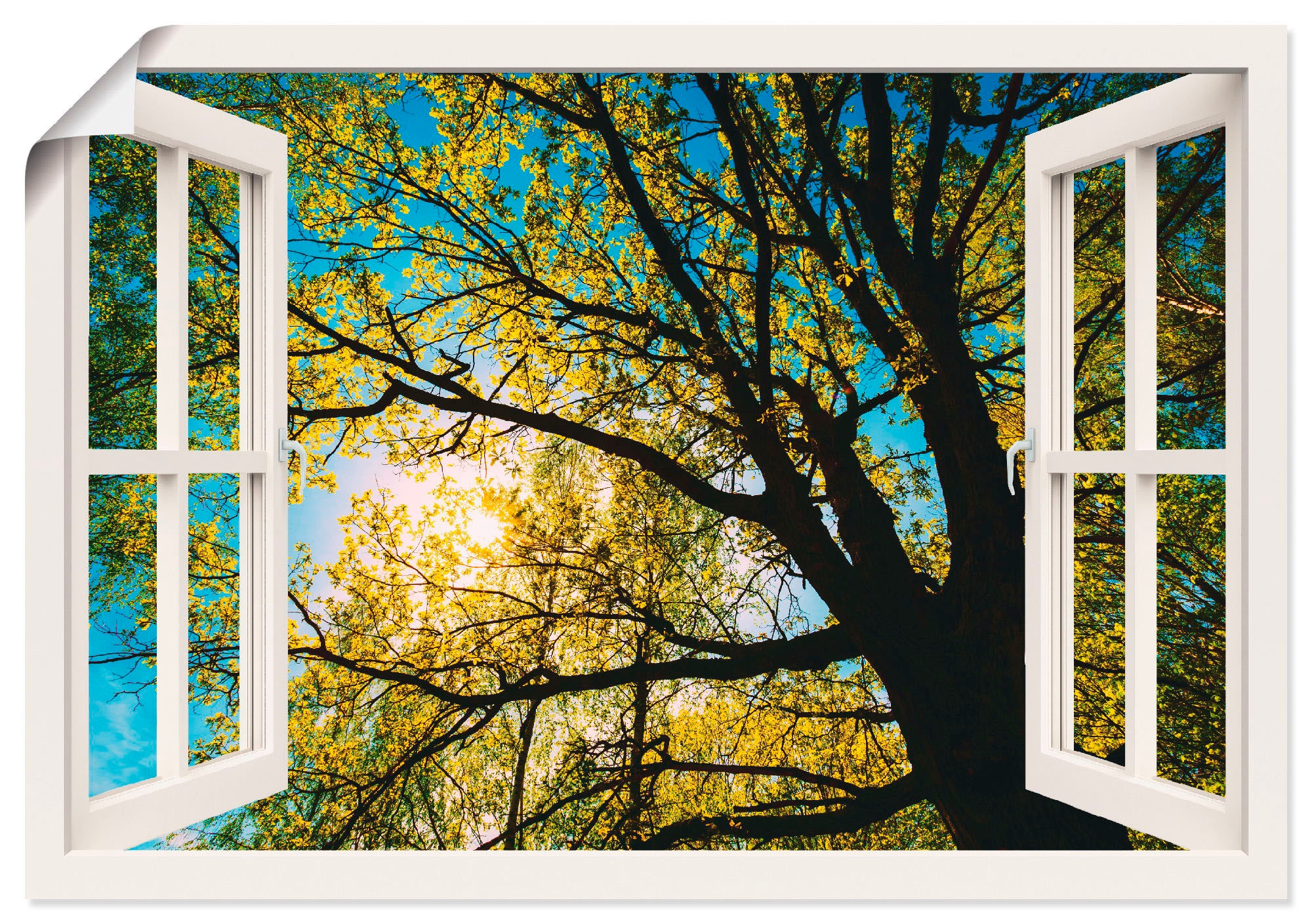 Alubild, versch. kaufen Grössen oder »Fensterblick Frühlingssonne (1 jetzt Artland Baumkrone«, St.), Leinwandbild, Wandbild als in Wandaufkleber Poster Bäume,