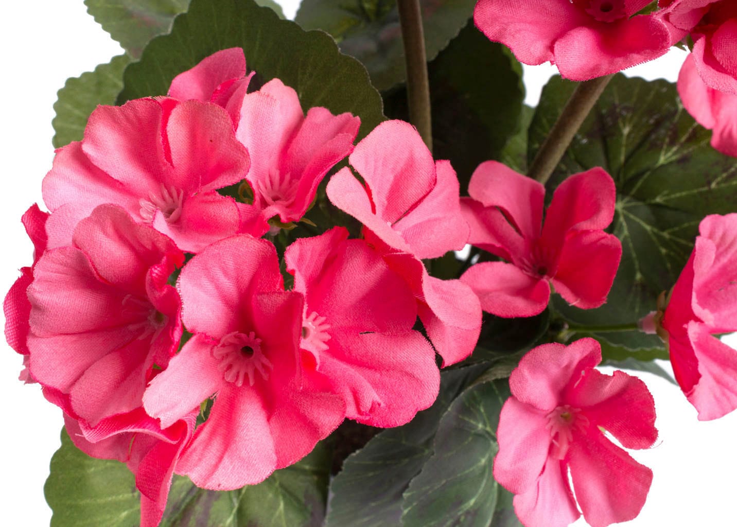mit günstig kaufen Blütenköpfen« Botanic-Haus »Geranienbusch Kunstblume 6