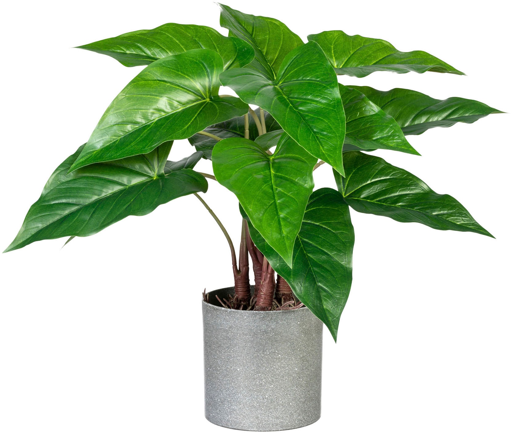 kaufen Melamintopf Künstliche Zimmerpflanze Creativ »Anthurium«, bequem im green
