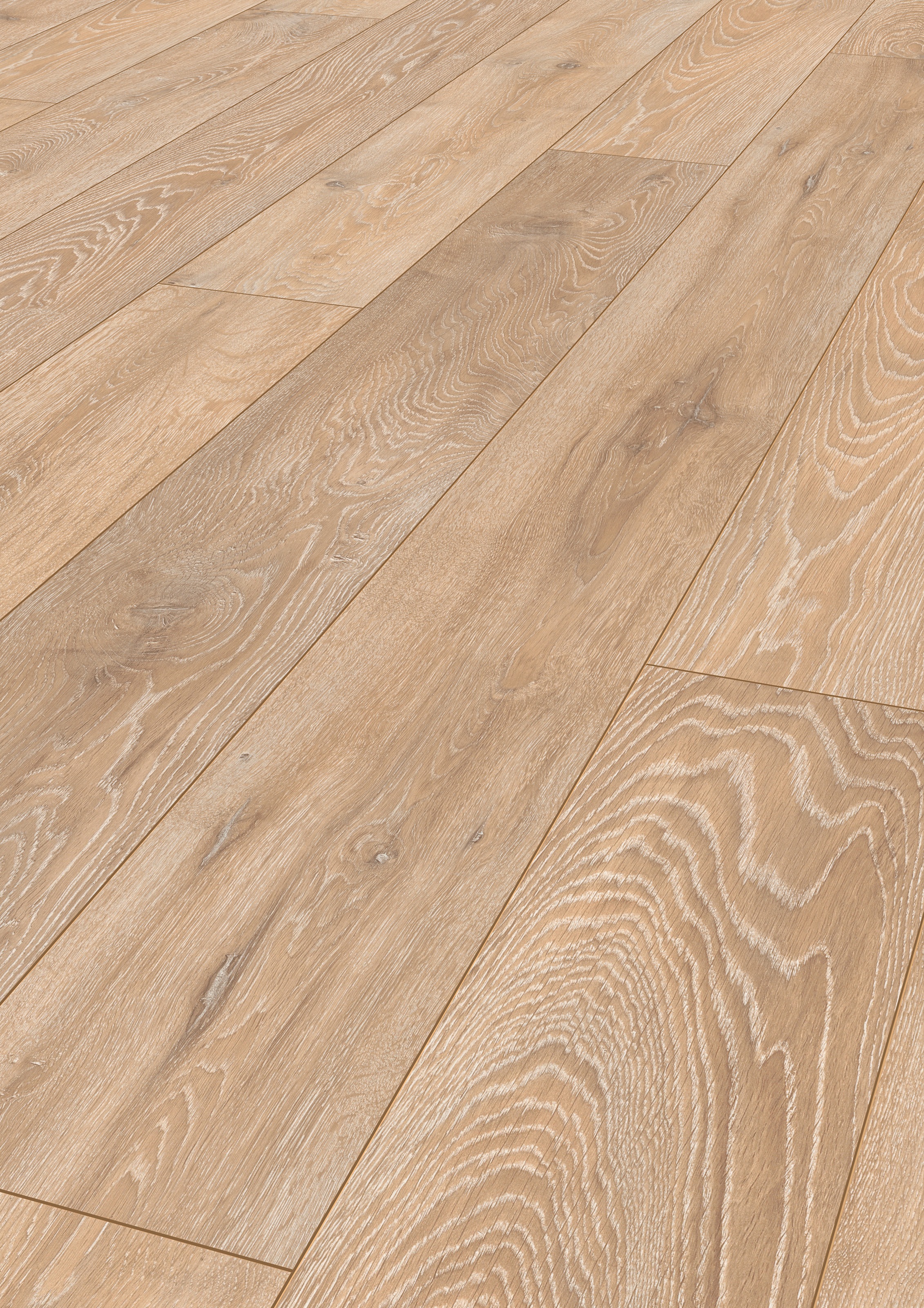 Image of ter Hürne Laminat »Eiche pastellbeige«, mit fühlbarer Oberfläche und Klicksystem bei Ackermann Versand Schweiz