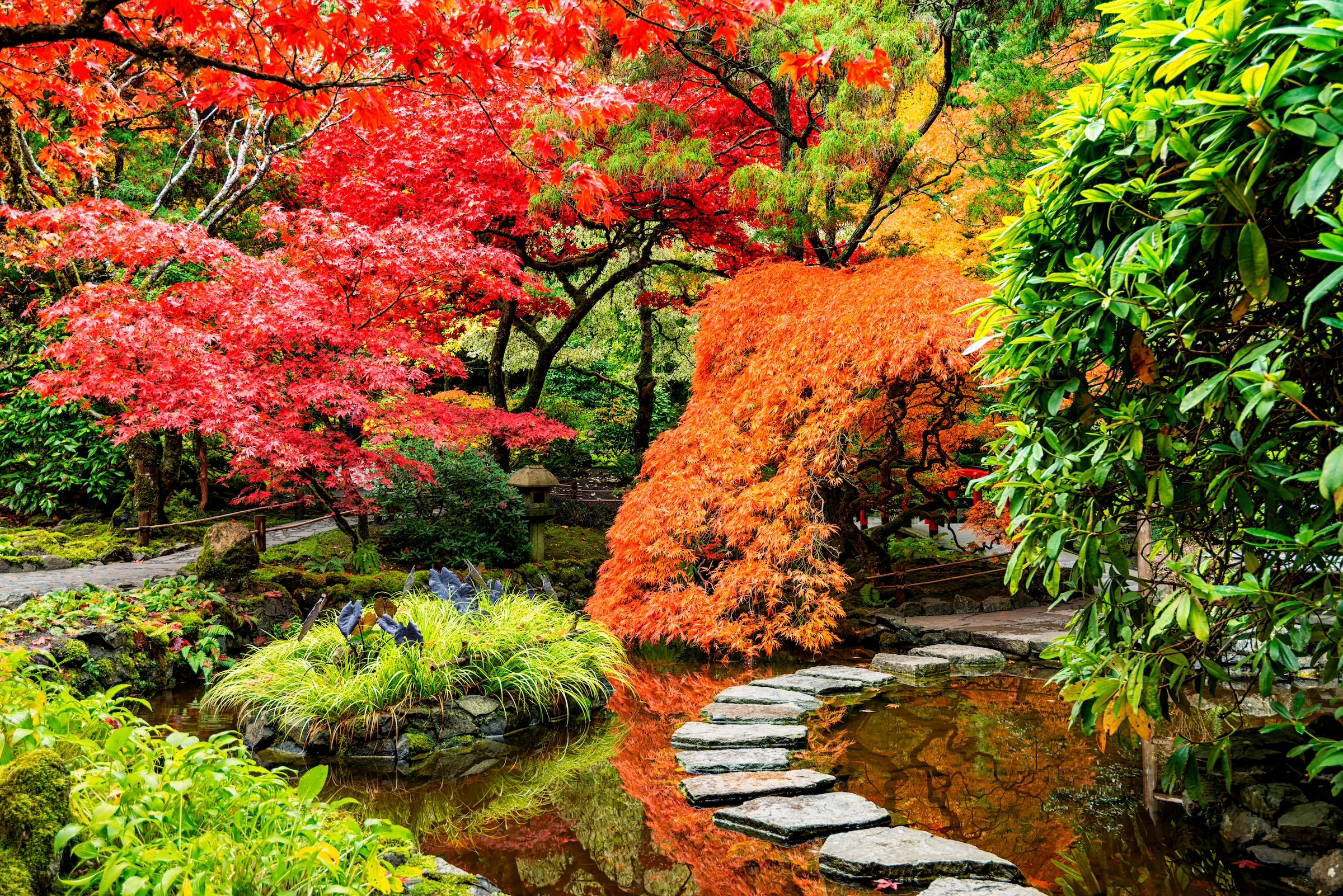 Image of Papermoon Fototapete "JAPANISCHER GARTEN-BLUMEN BÄUME SEE NATUR HERBST WALD"