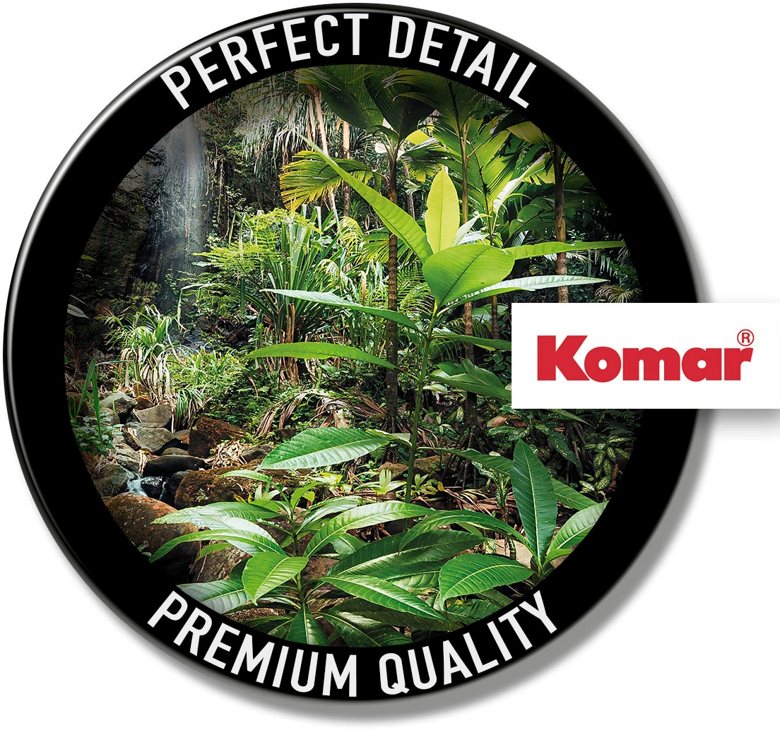 Komar Vliestapete »Digitaldruck Vlies -  Spirit - Grösse 200 x 260 cm« bedruckt glatt Wohnzimmer, Schlafzimmer