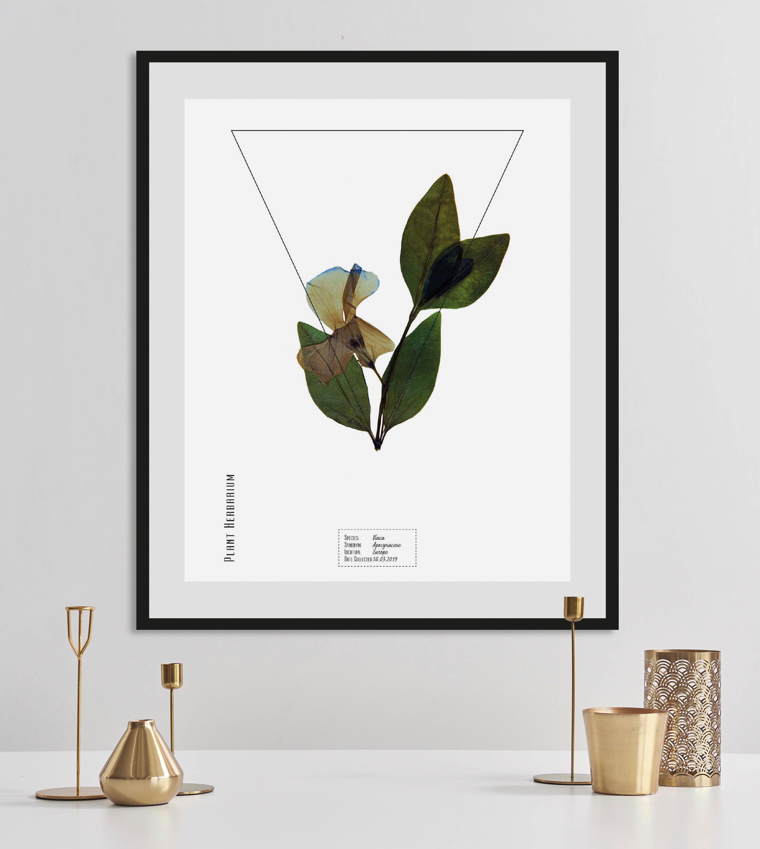 Image of andas Bild »Pflanze Vinca«, mit Rahmen bei Ackermann Versand Schweiz