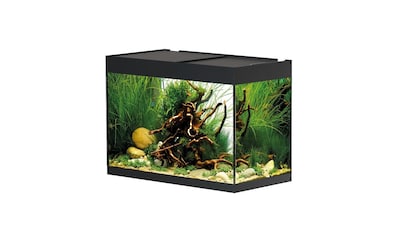 Aquarium »StyleLine 125 75 l«