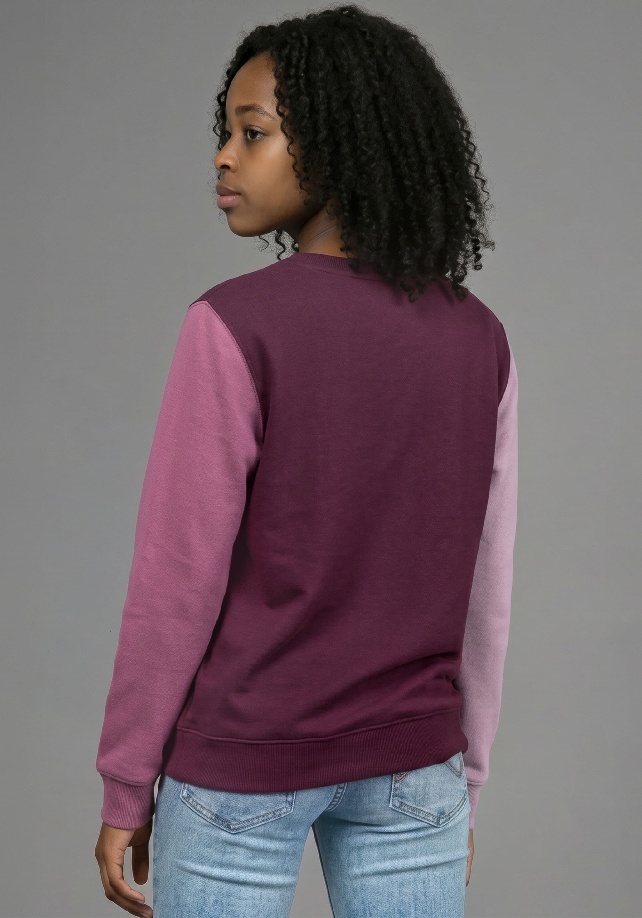 KangaROOS Sweatshirt »Sweatshirt Colorblocking«, mit Rundhalsausschnitt, mit Rippbündchen an Ärmeln
