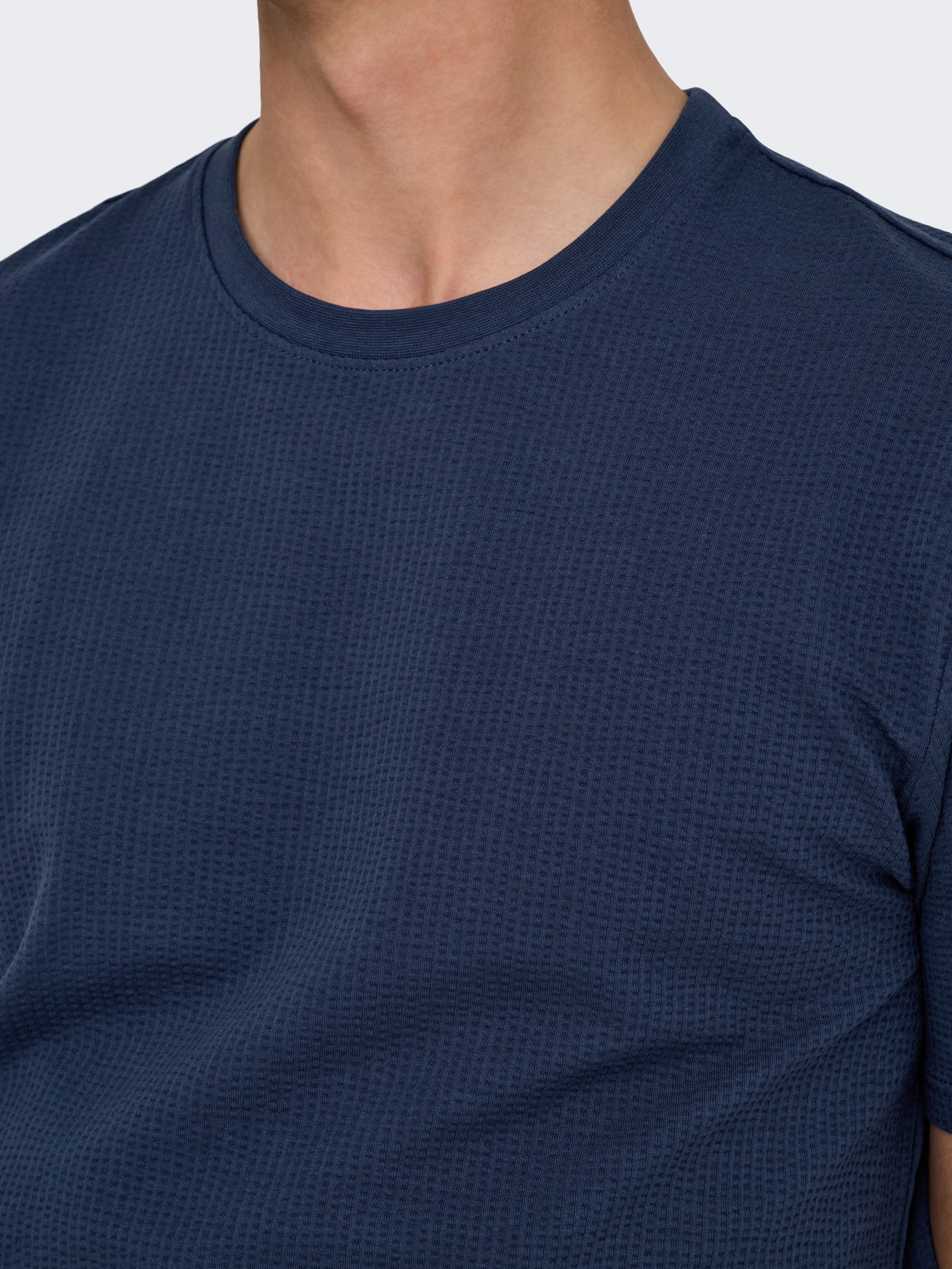 ONLY & SONS Rundhalsshirt »ONSKIAN LIFE REG SEERSUCKER SS TEE NOOS«