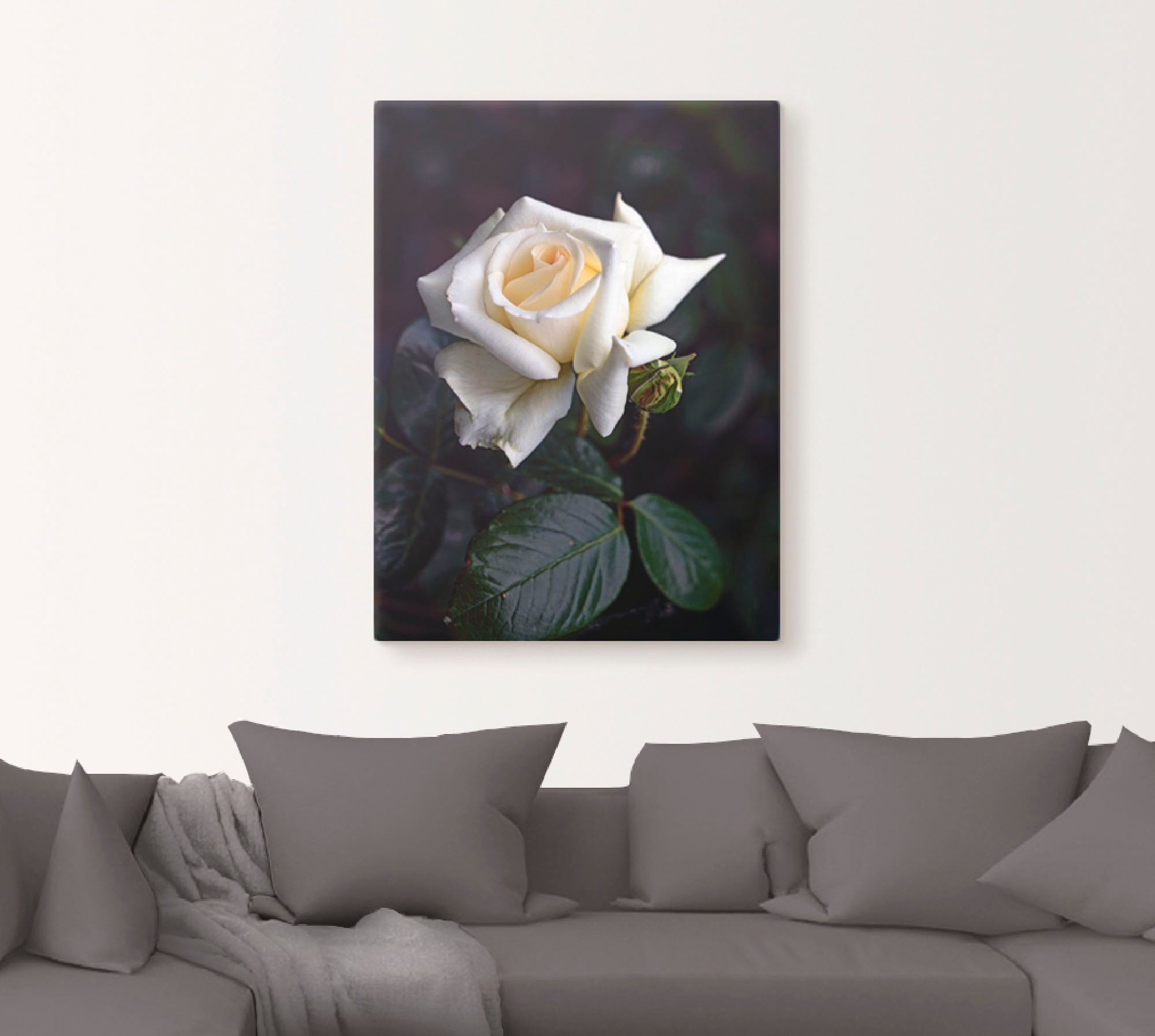 Artland Wandbild »Weiss-gelbe Rose«, Blumen, (1 St.), als Leinwandbild, Poster in verschied. Grössen