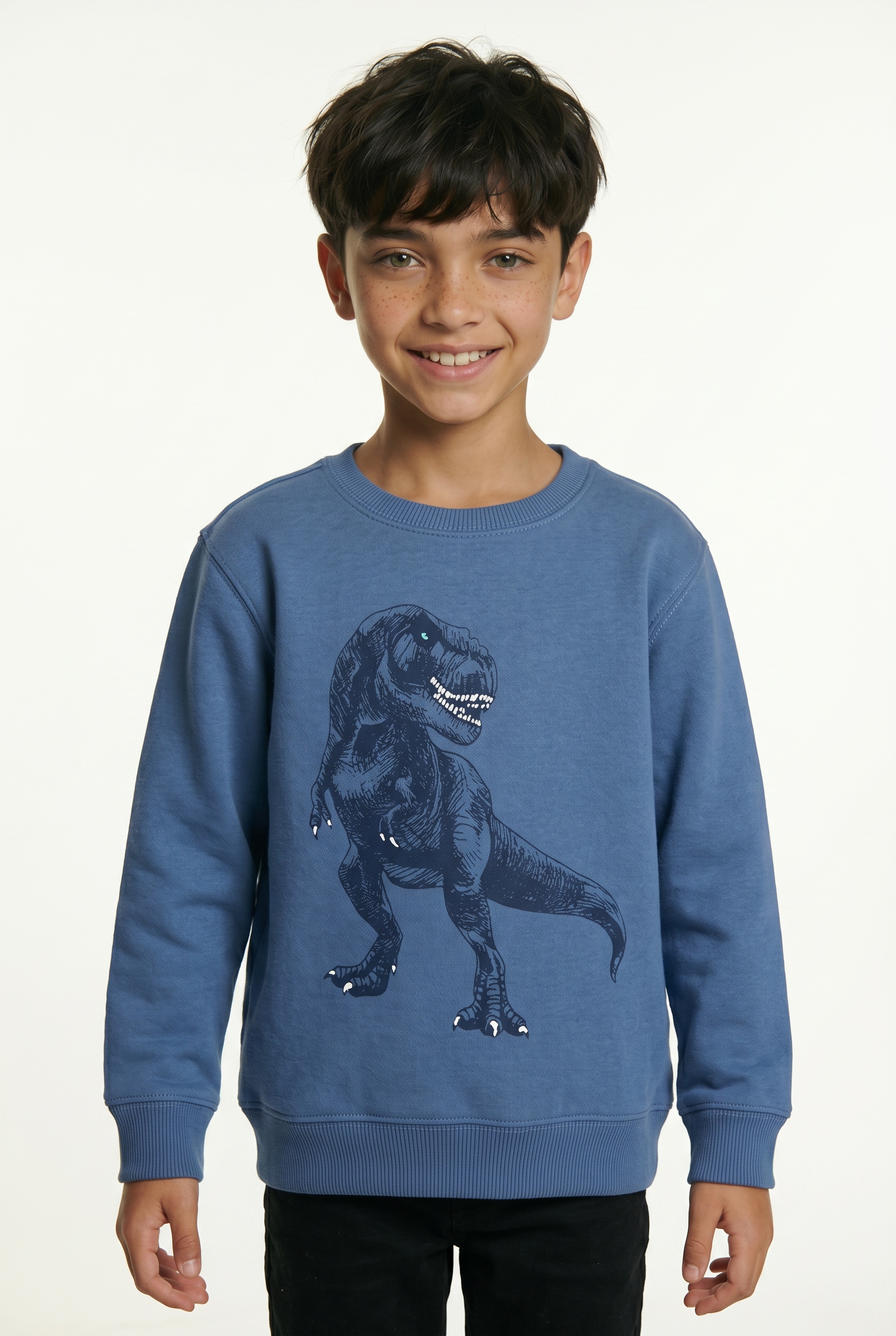 Image of Blue Seven Sweatshirt, Baumwollmischung und tolles Dino-Motiv