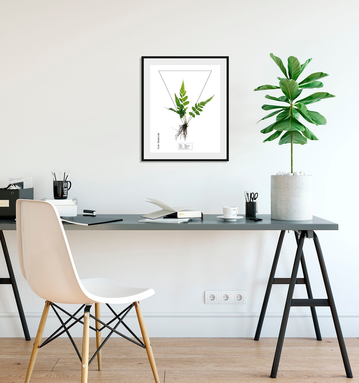 Image of queence Bild "Pteridophyta" Pflanzen Pflanzenbilder Schriftzug 1 Stk. tlg. HD Premium Poster-Druck inkl. Holzrahmen
