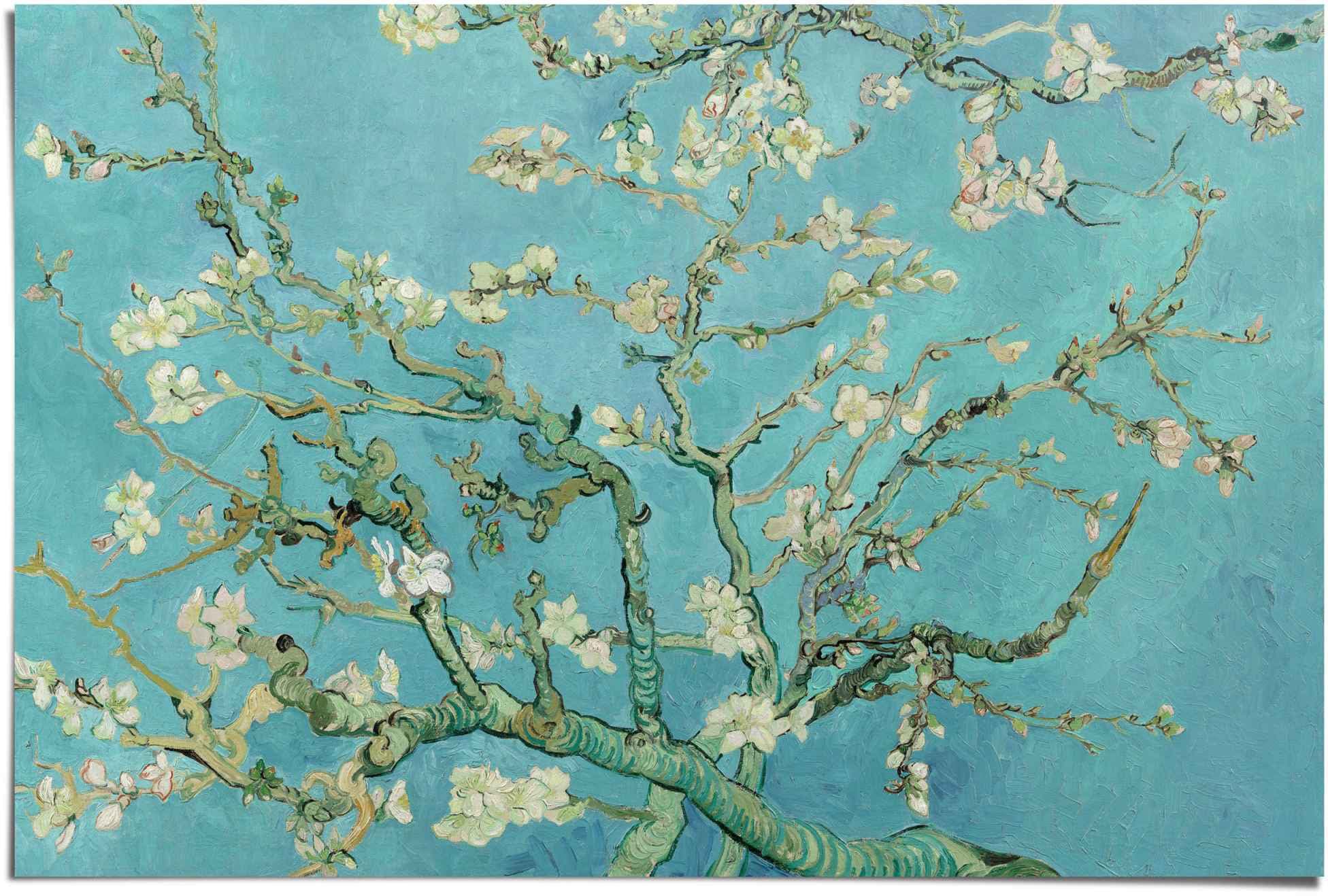 van Reinders! Vincent St.) Gogh«, Mandelblüte (1 Blumen, maintenant »Poster Poster
