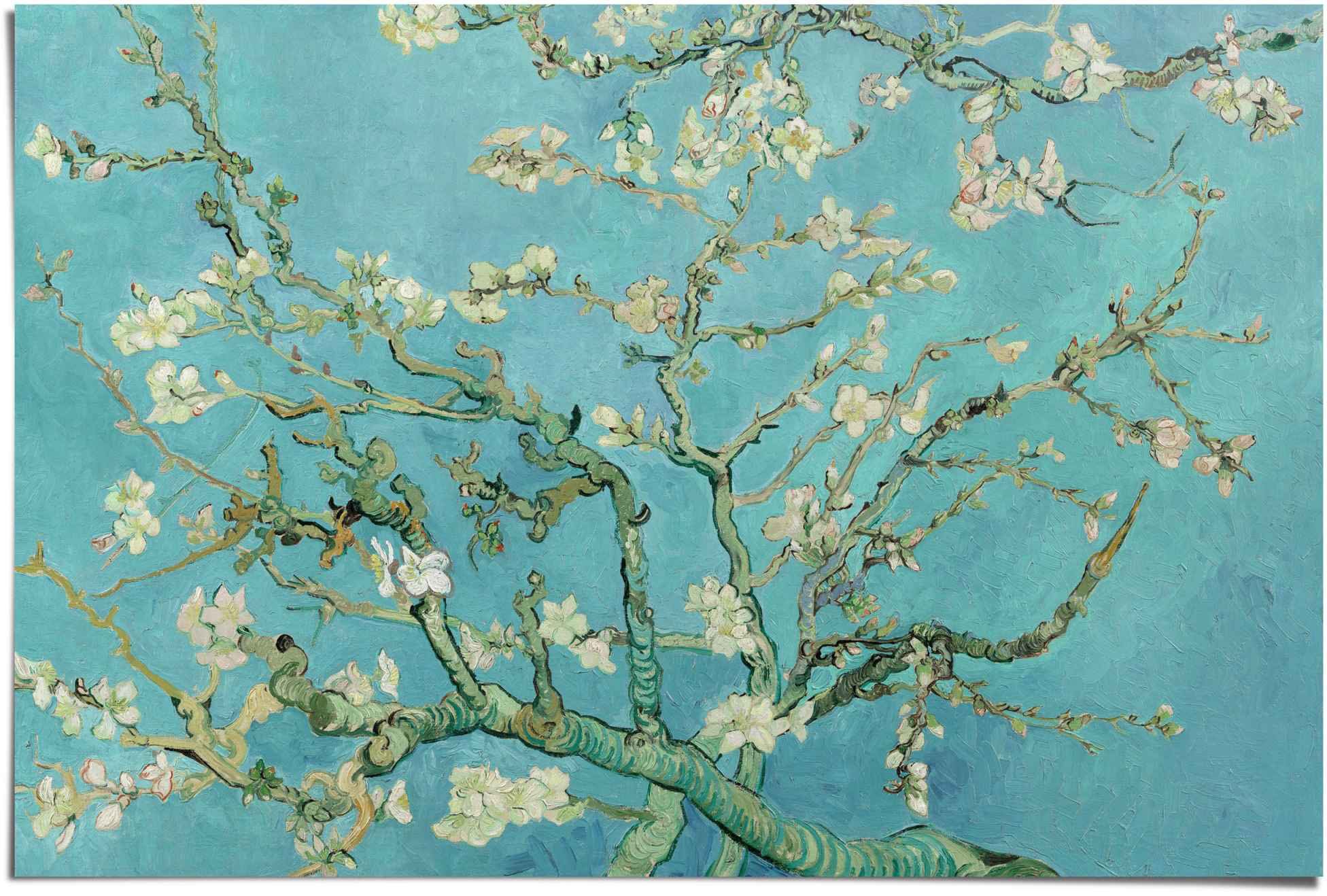 Image of Reinders Poster "Poster Mandelblüte Vincent van Gogh" Blumen 1 Stk. tlg.