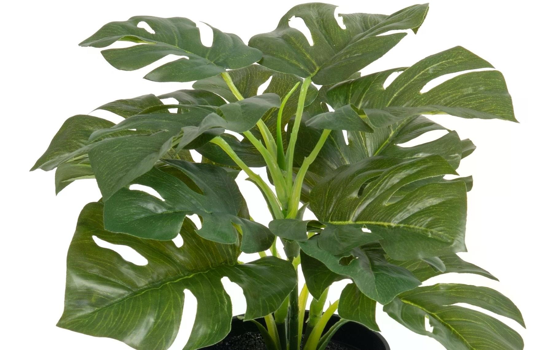 Kunstblume »Dekomat AG Philodendron im Topf 28 cm«