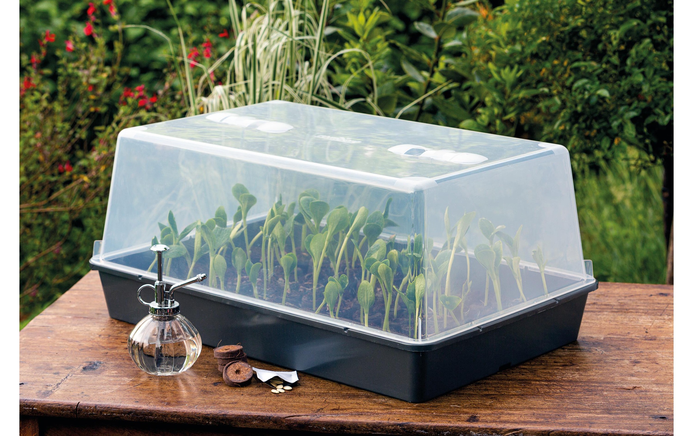   Serre »Romberg XXL mit Belüftung,stabil,lose Ware«