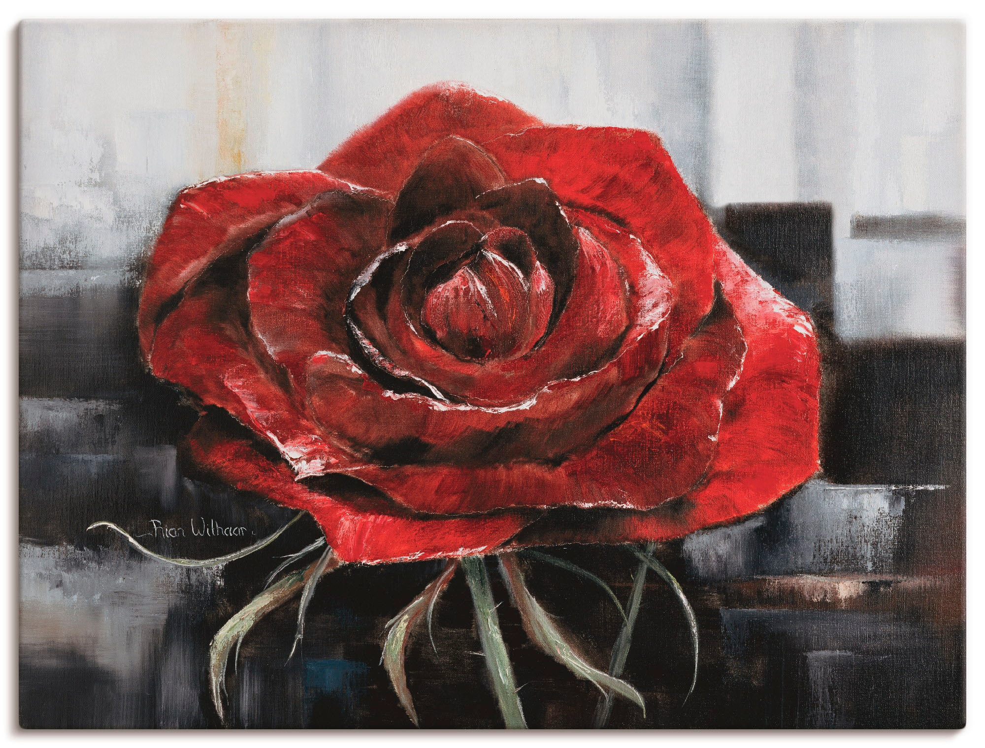 Image of Artland Leinwandbild "Blühende rote Rose" Blumen 1 Stk. tlg. auf Holzrahmen gespannt