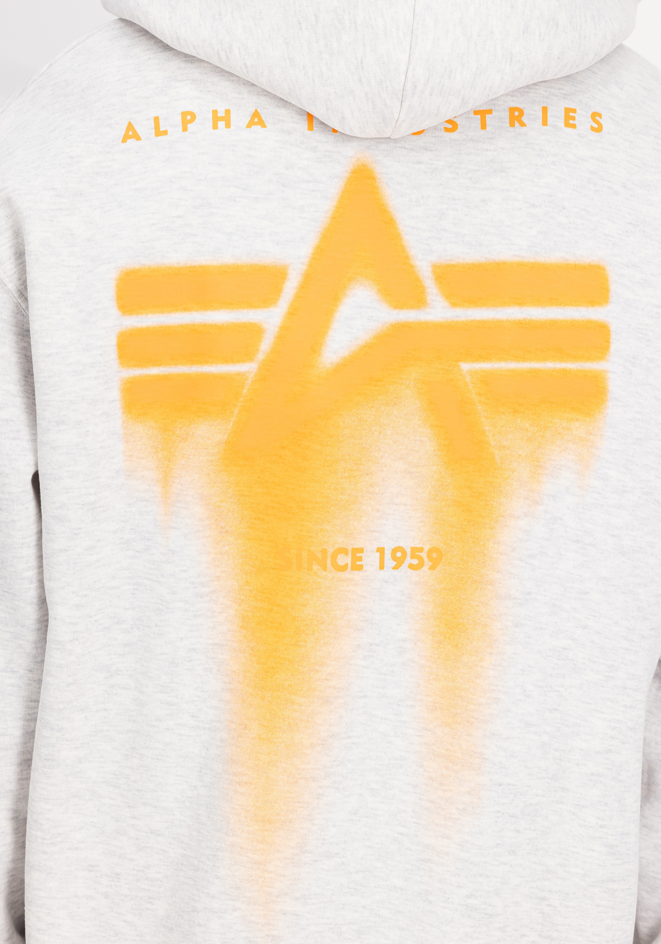 Alpha Industries Hoodie »Spray Print Hoodie«

