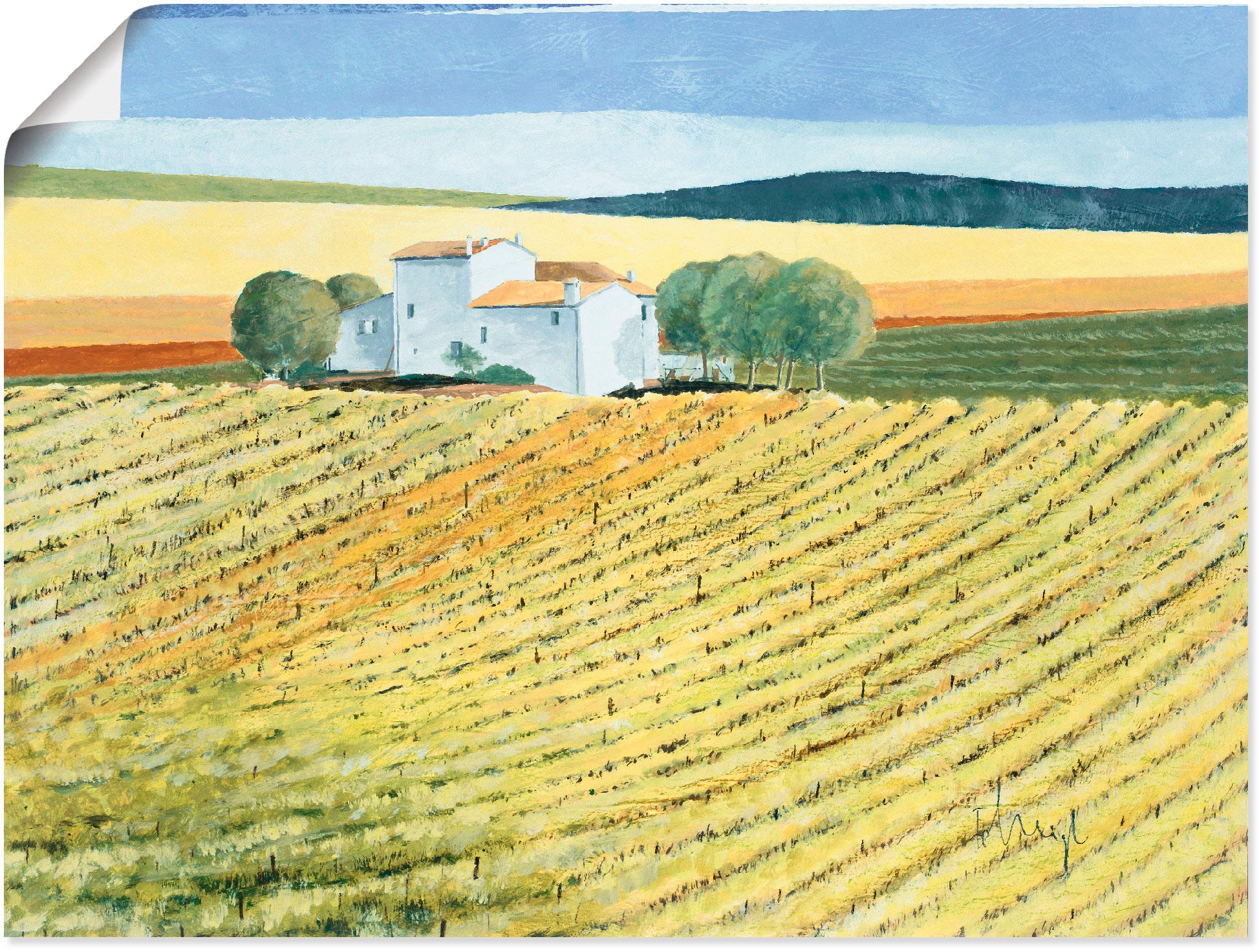 Image of Artland Wandbild »Kirschen pflücken«, Felder, (1 St.), in vielen Grössen & Produktarten -Leinwandbild, Poster, Wandaufkleber / Wandtattoo auch für Badezimmer geeignet bei Ackermann Versand Schweiz