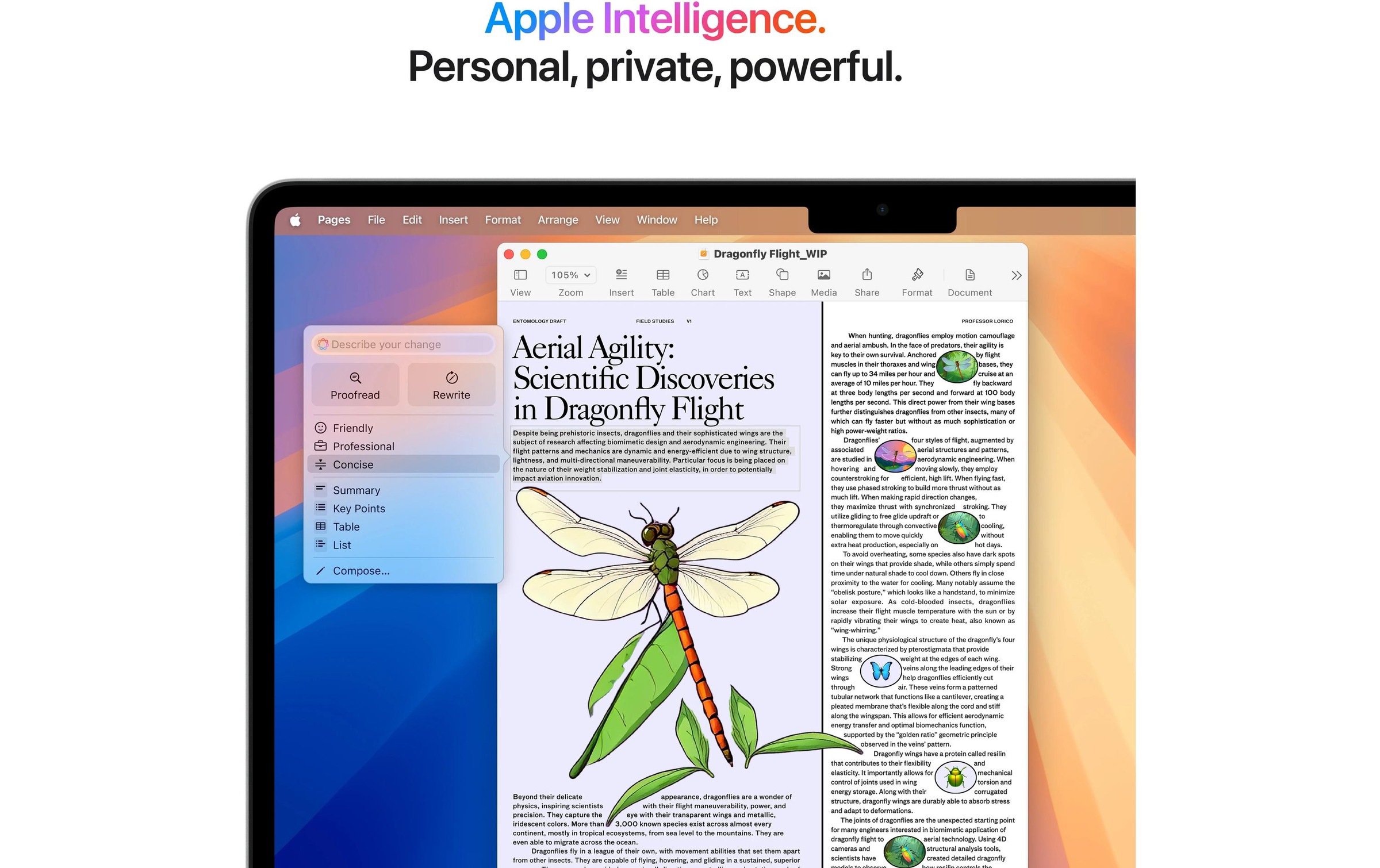 Apple Notebook »Air 13 2025 M4 10C GPU / 16 GB / 512 GB Silberfarben«
