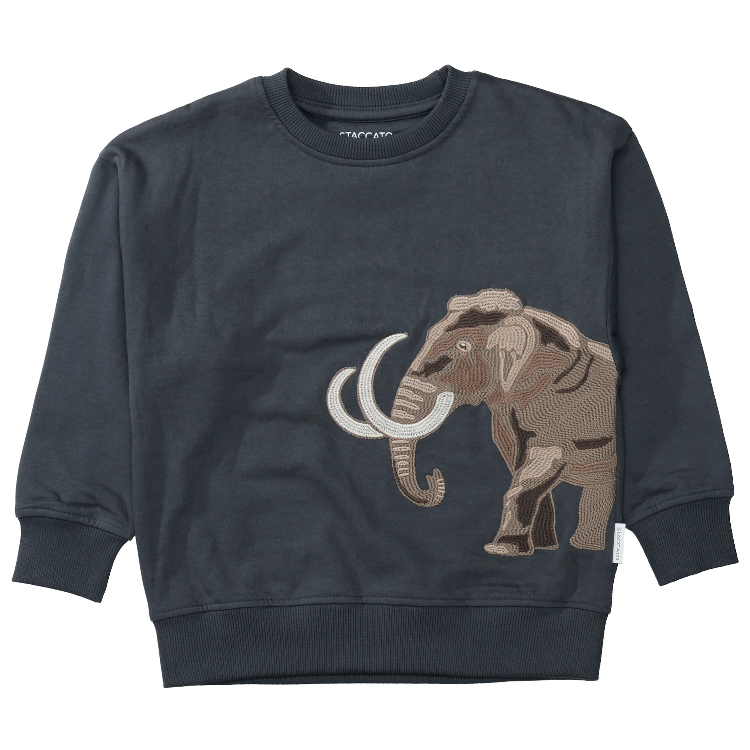 STACCATO Pull , Lot de 2 pulls / imprimés / pour garçons
