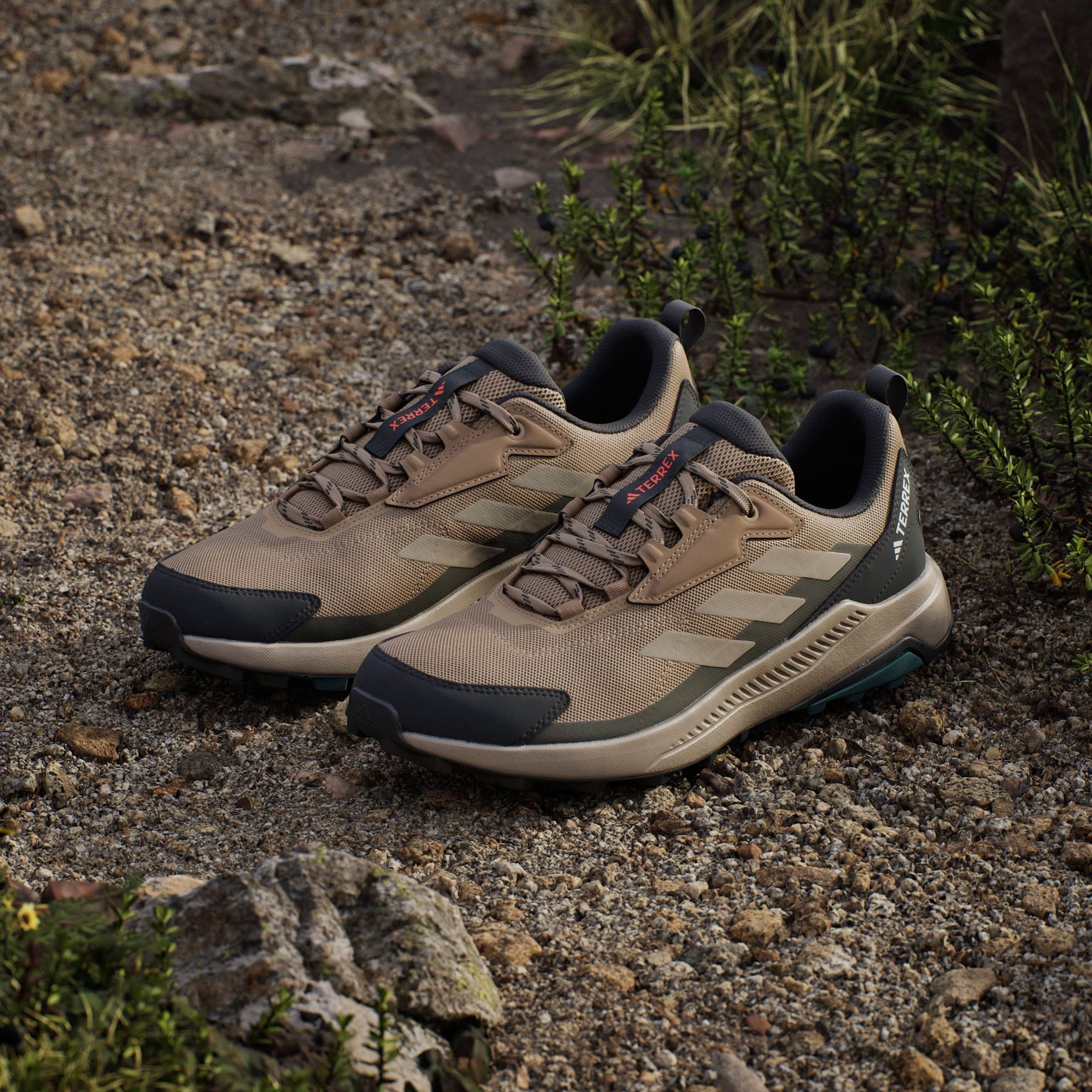 adidas TERREX Wanderschuh »TERREX ANYLANDER«