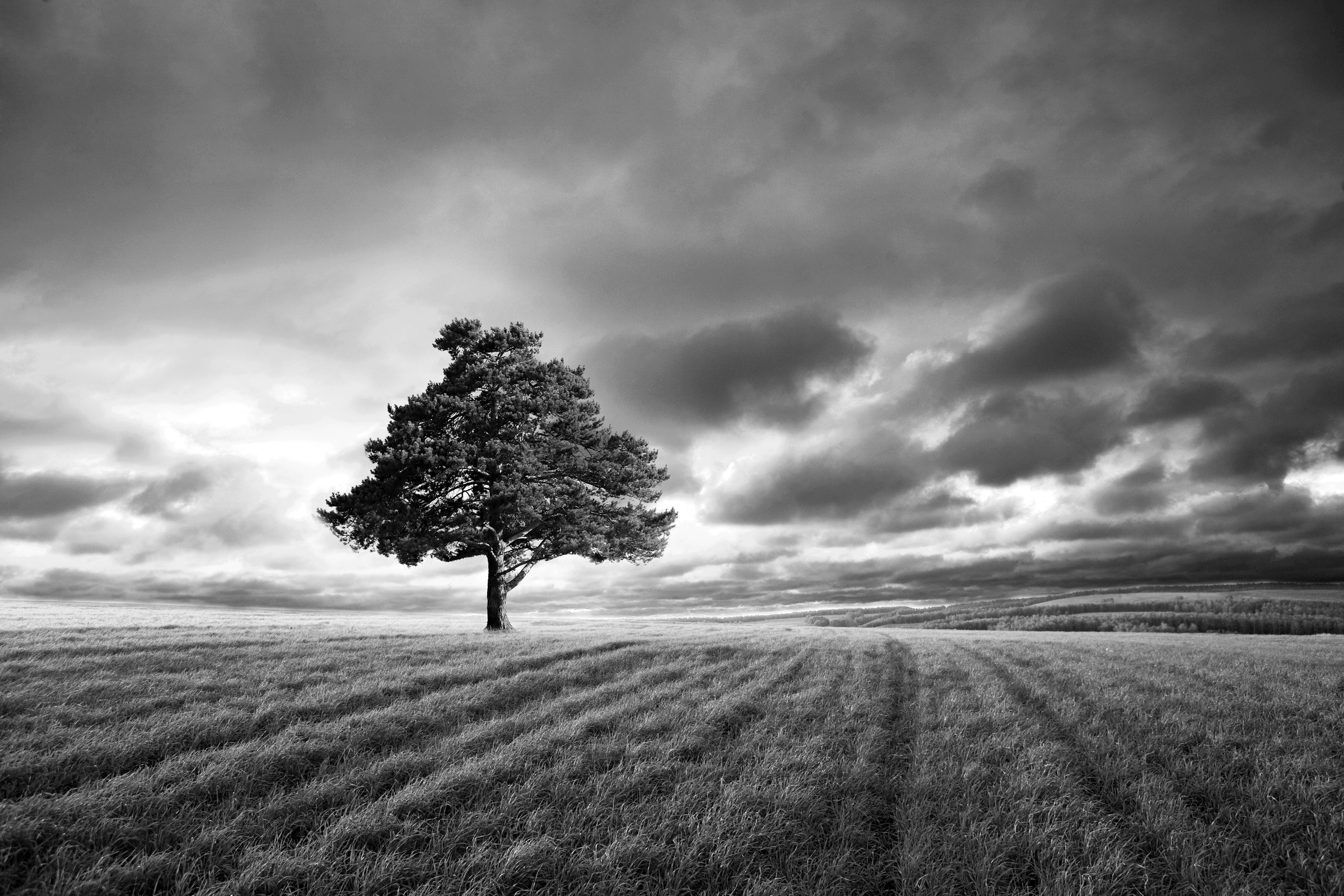 Fototapete »Landschaft schwarz & weiss«