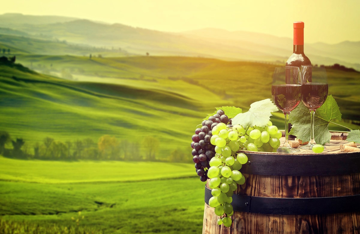 Image of Papermoon Fototapete "WEINBAU-WEIN TRAUBEN FELD WIESE WEIN SONNE LANDSCHAFT"