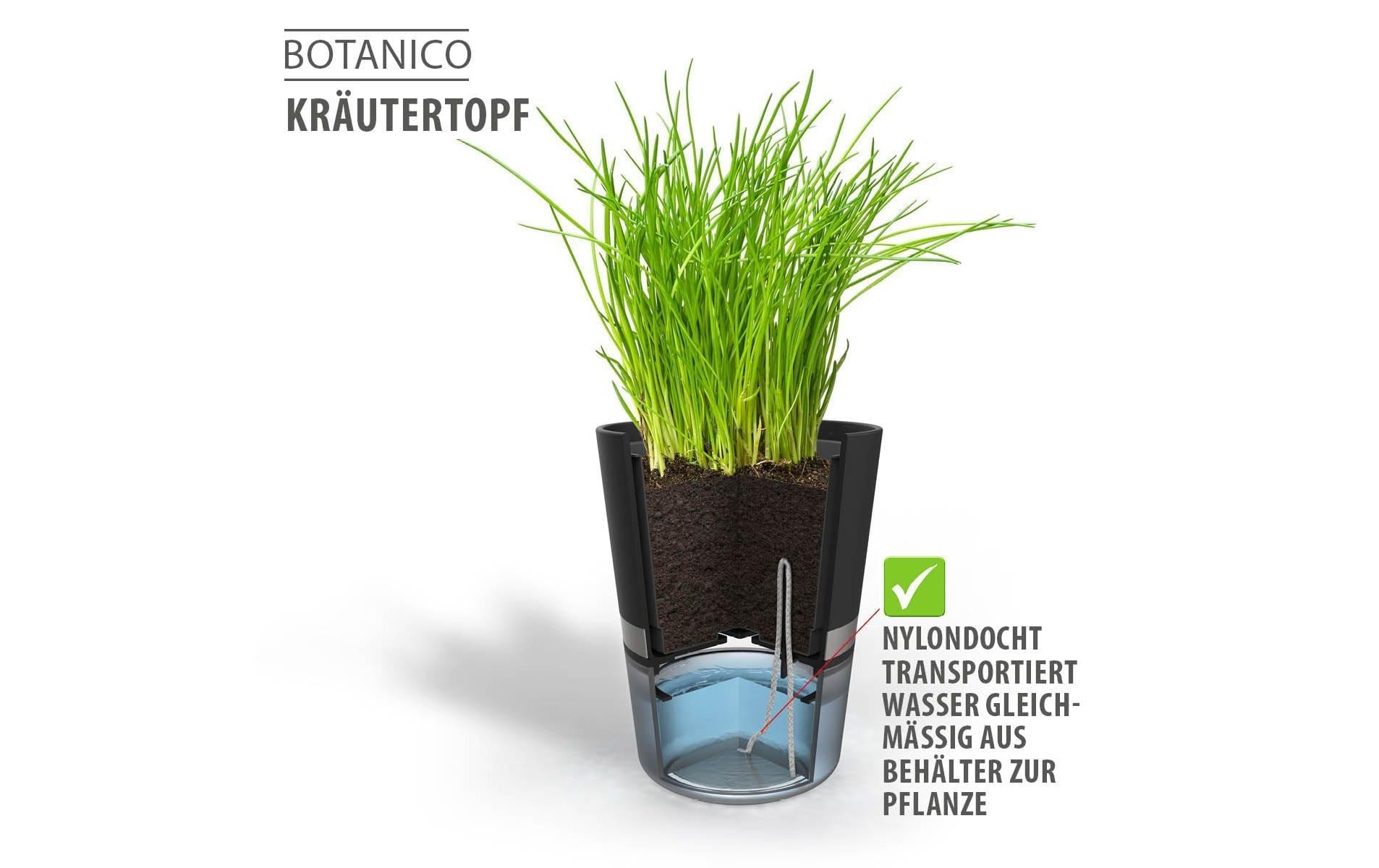 GEFU Kräutertopf »Botanico« mit Bewässerungssystem