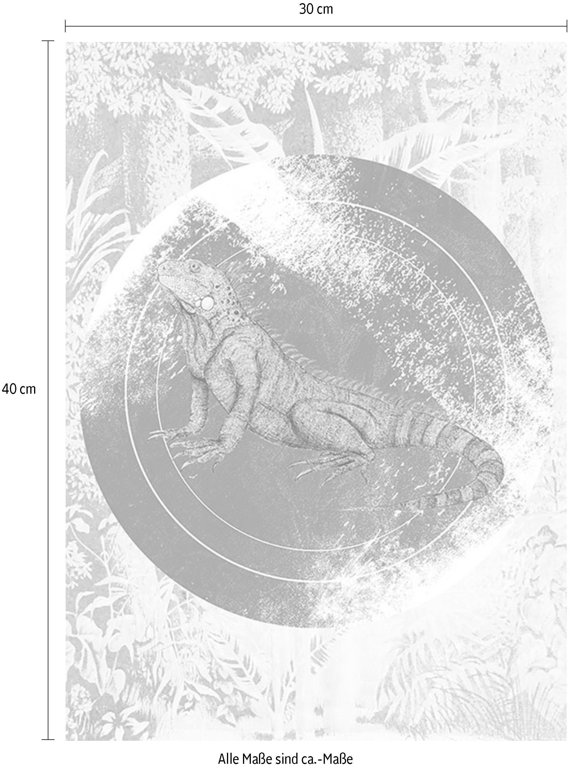Komar Image »Iguana Circle« 1 cuis tlg. Wandbild zur Dekoration - ohne Rahmen